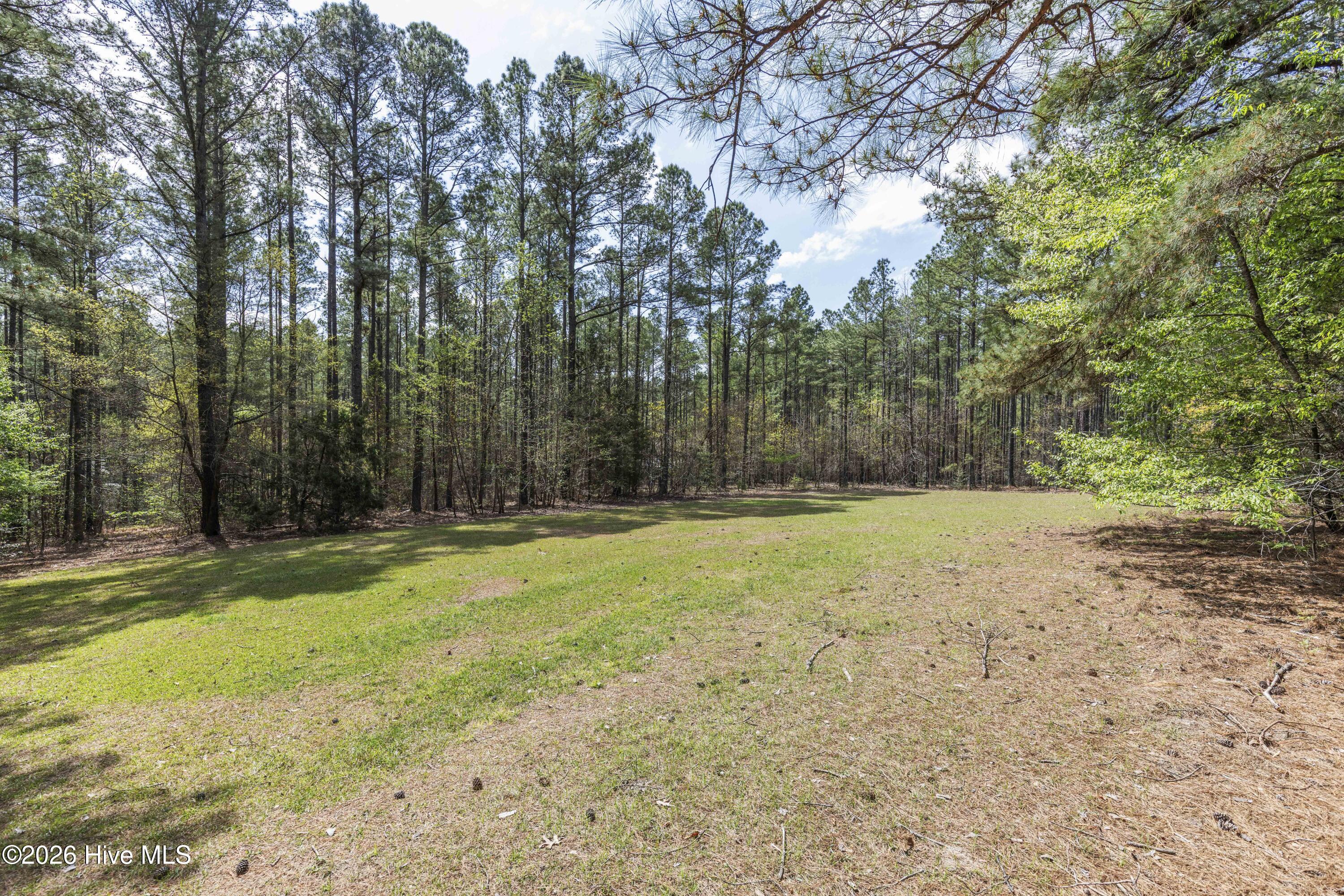 215 Cameron Camp Road Property Photo 65