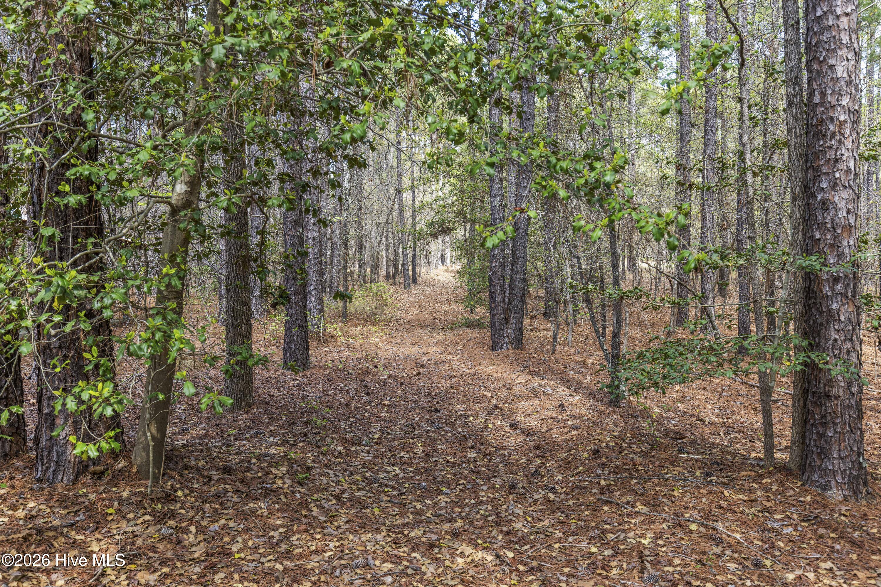 215 Cameron Camp Road Property Photo 66