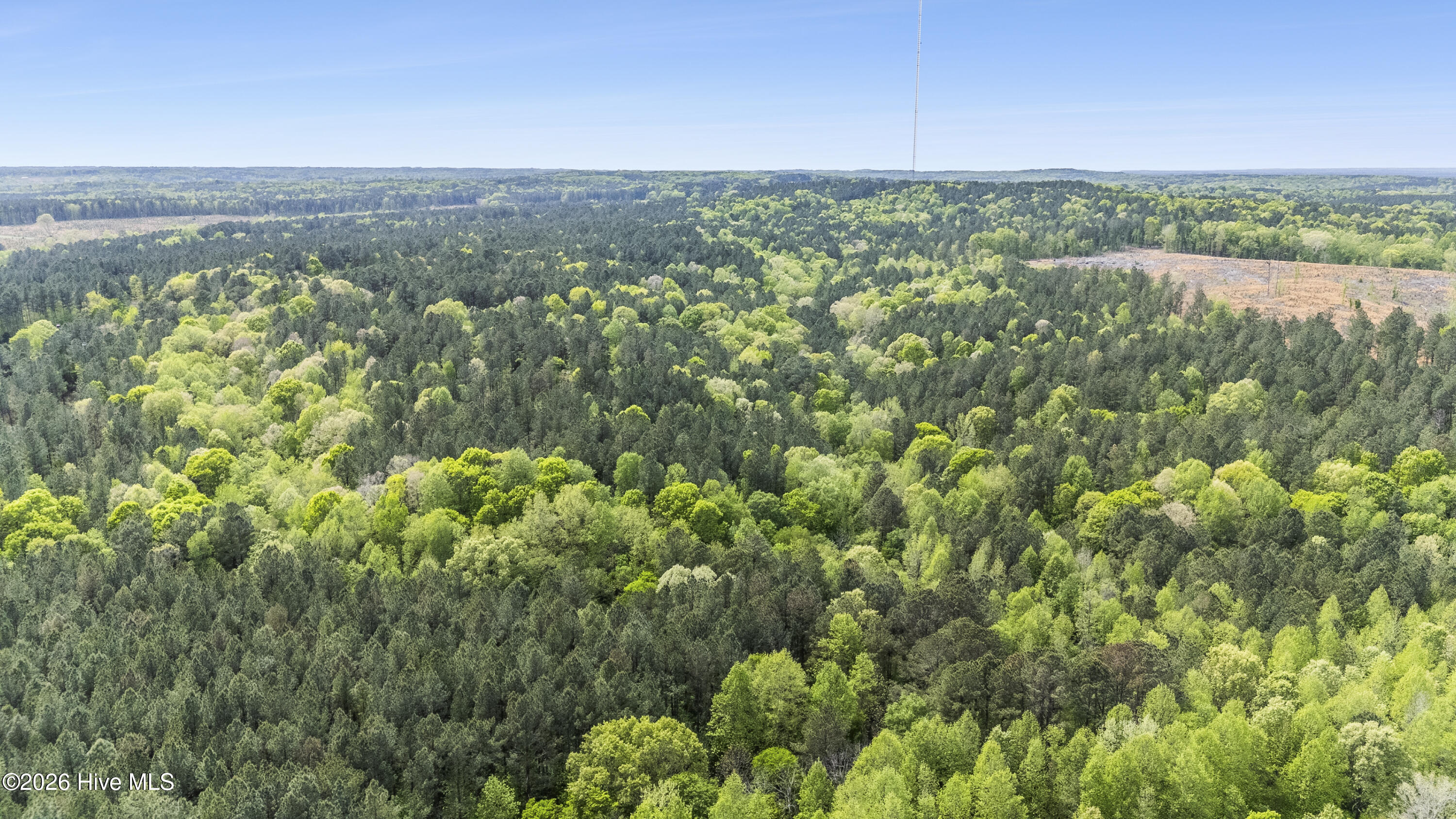 3100 Buckhorn Road Property Photo 2
