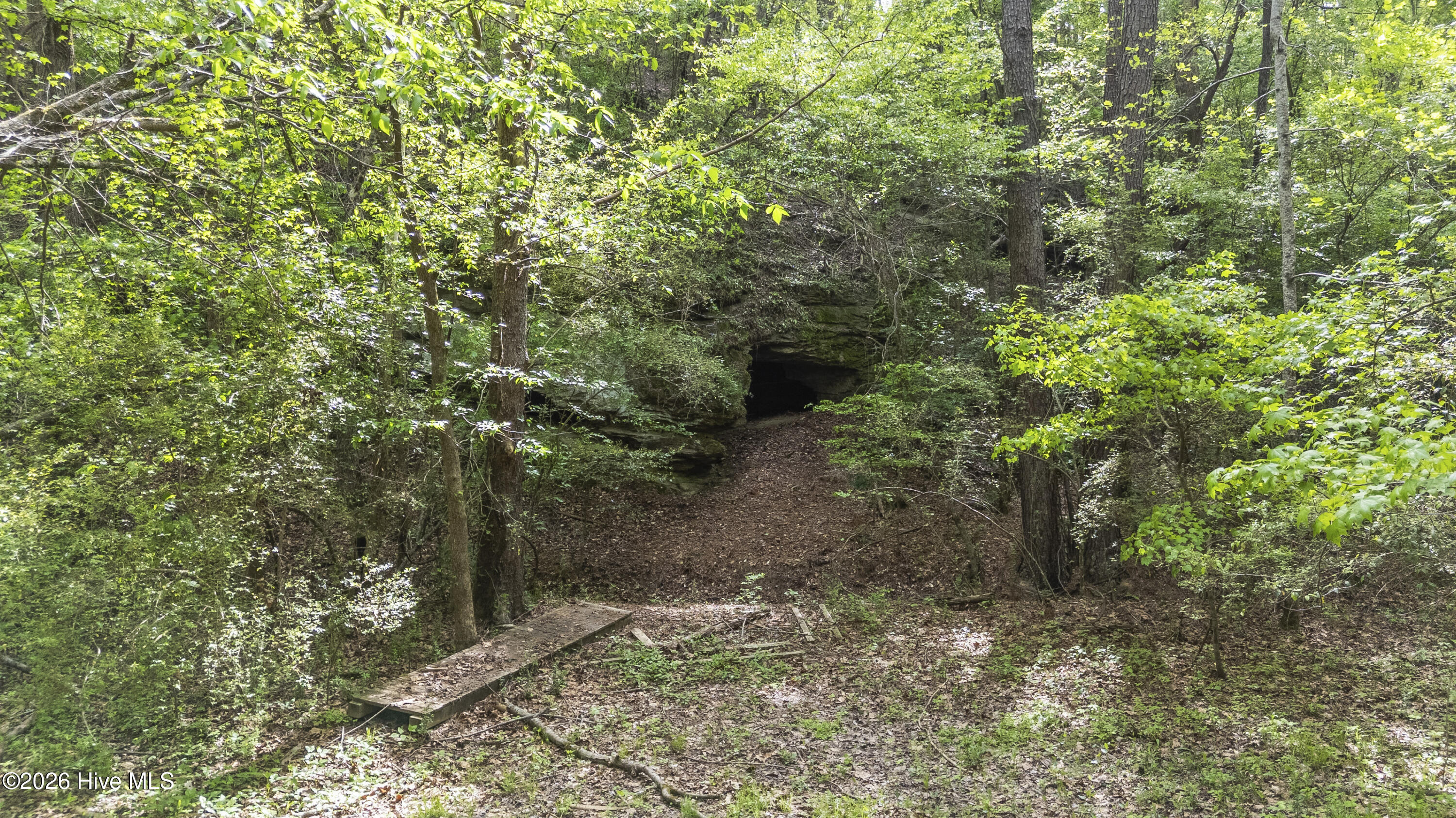 3100 Buckhorn Road Property Photo 8