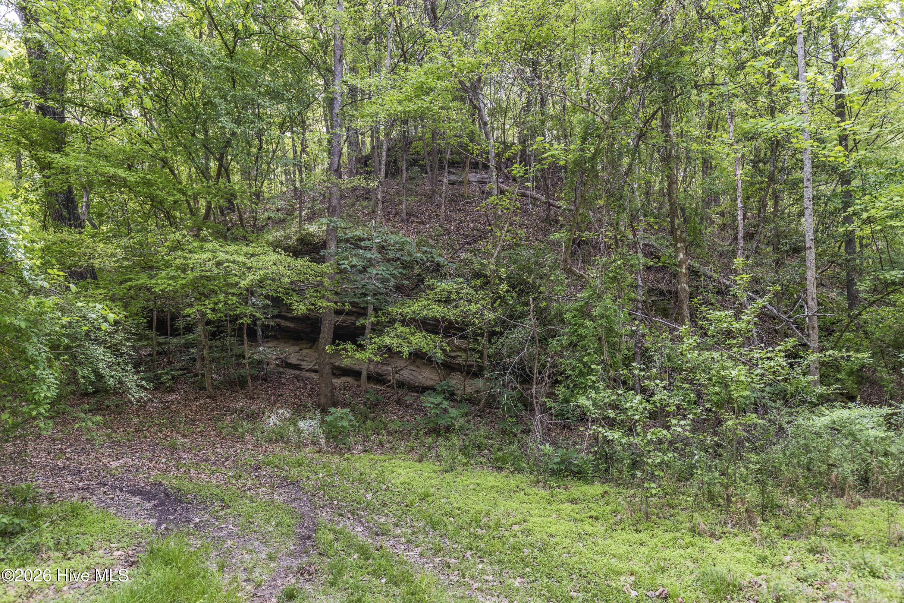 3100 Buckhorn Road Property Photo 28