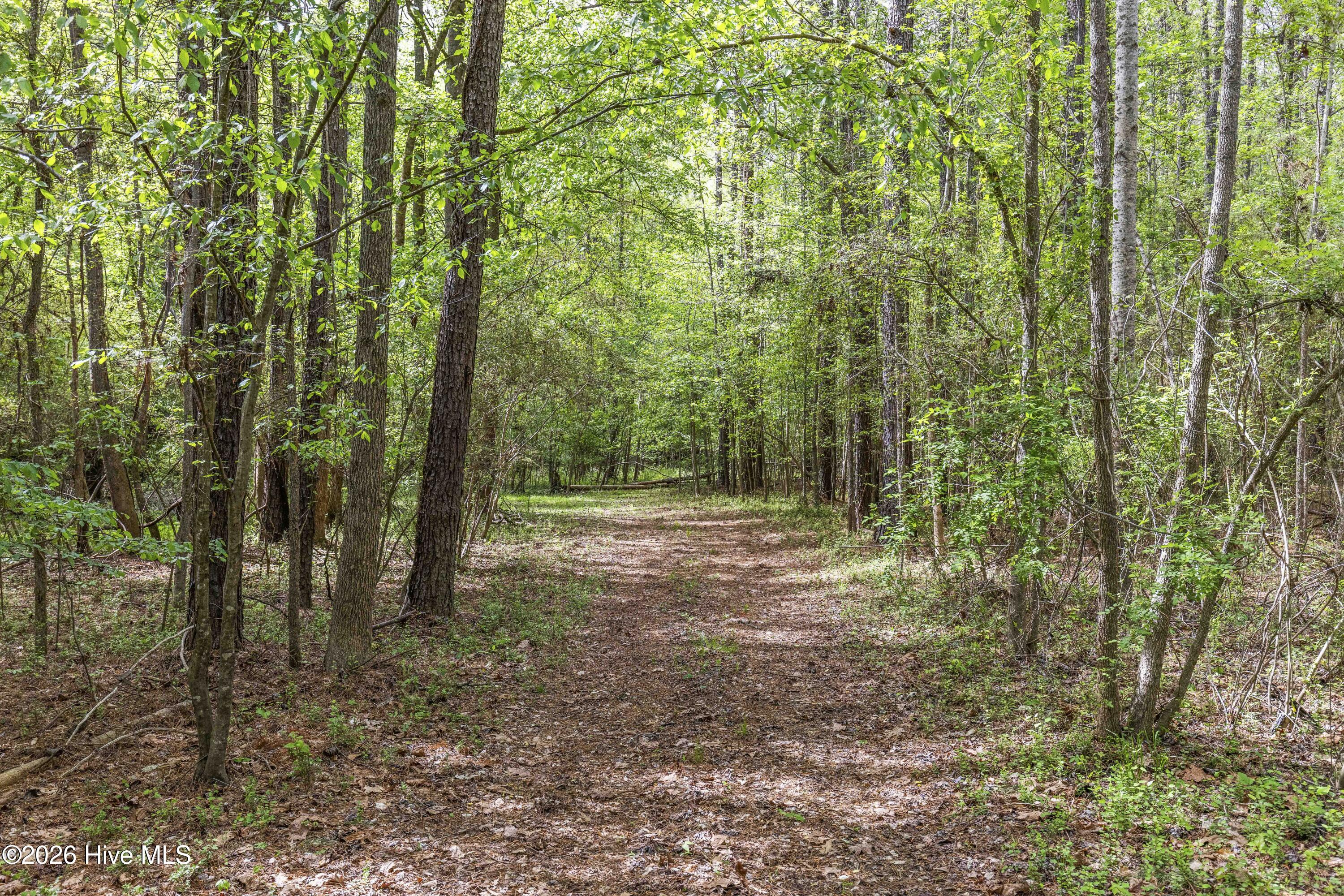 3100 Buckhorn Road Property Photo 32