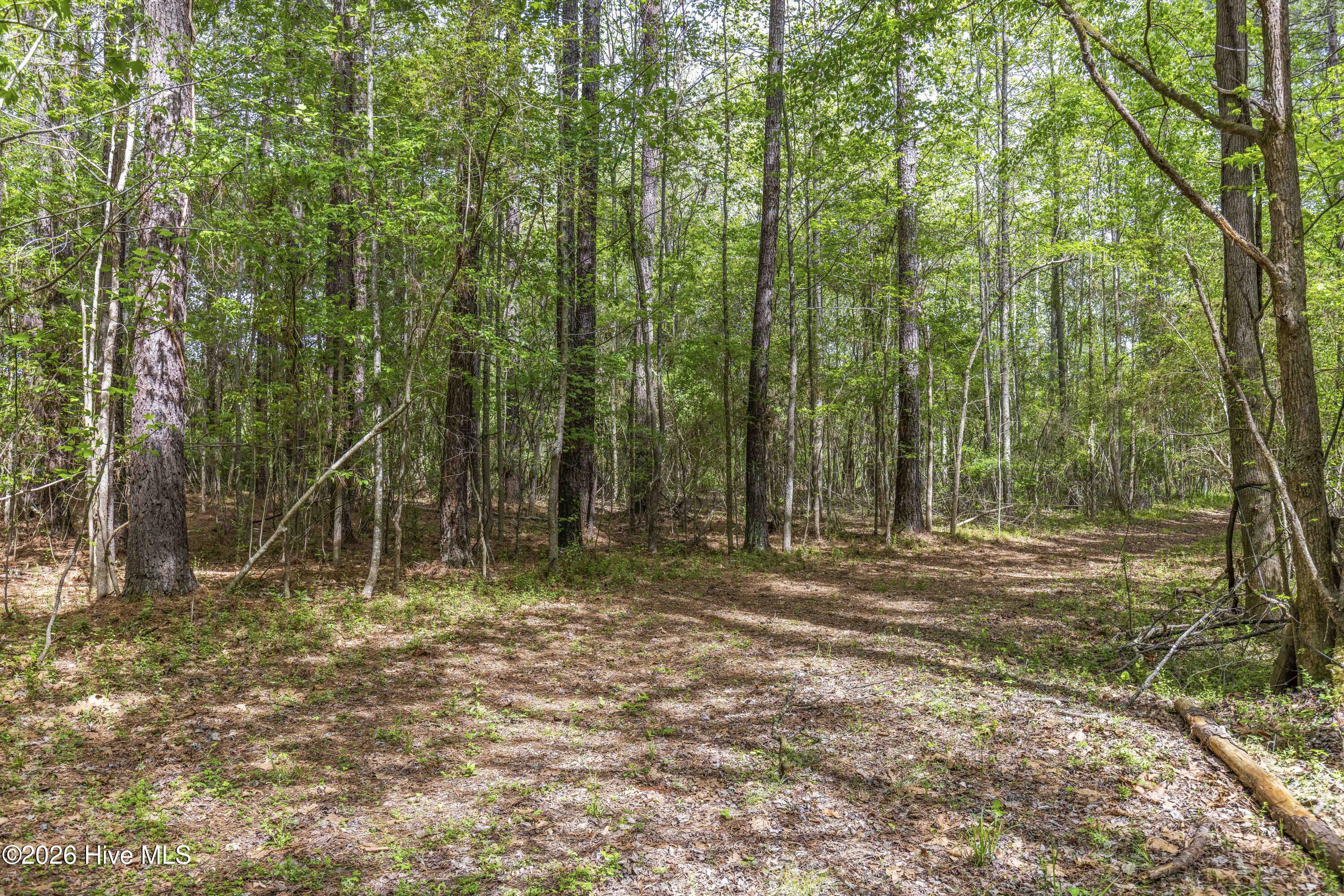 3100 Buckhorn Road Property Photo 39
