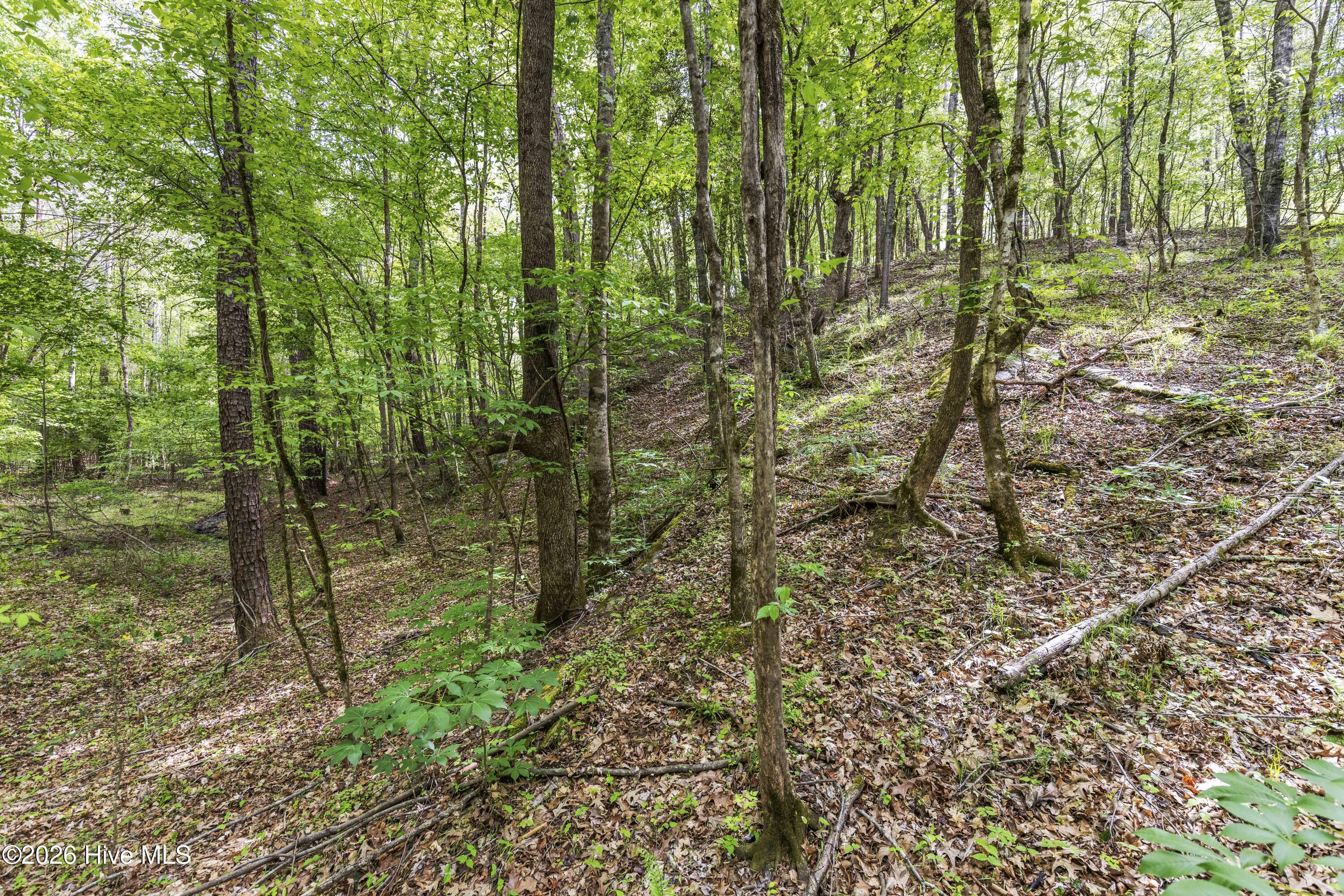 3100 Buckhorn Road Property Photo 40