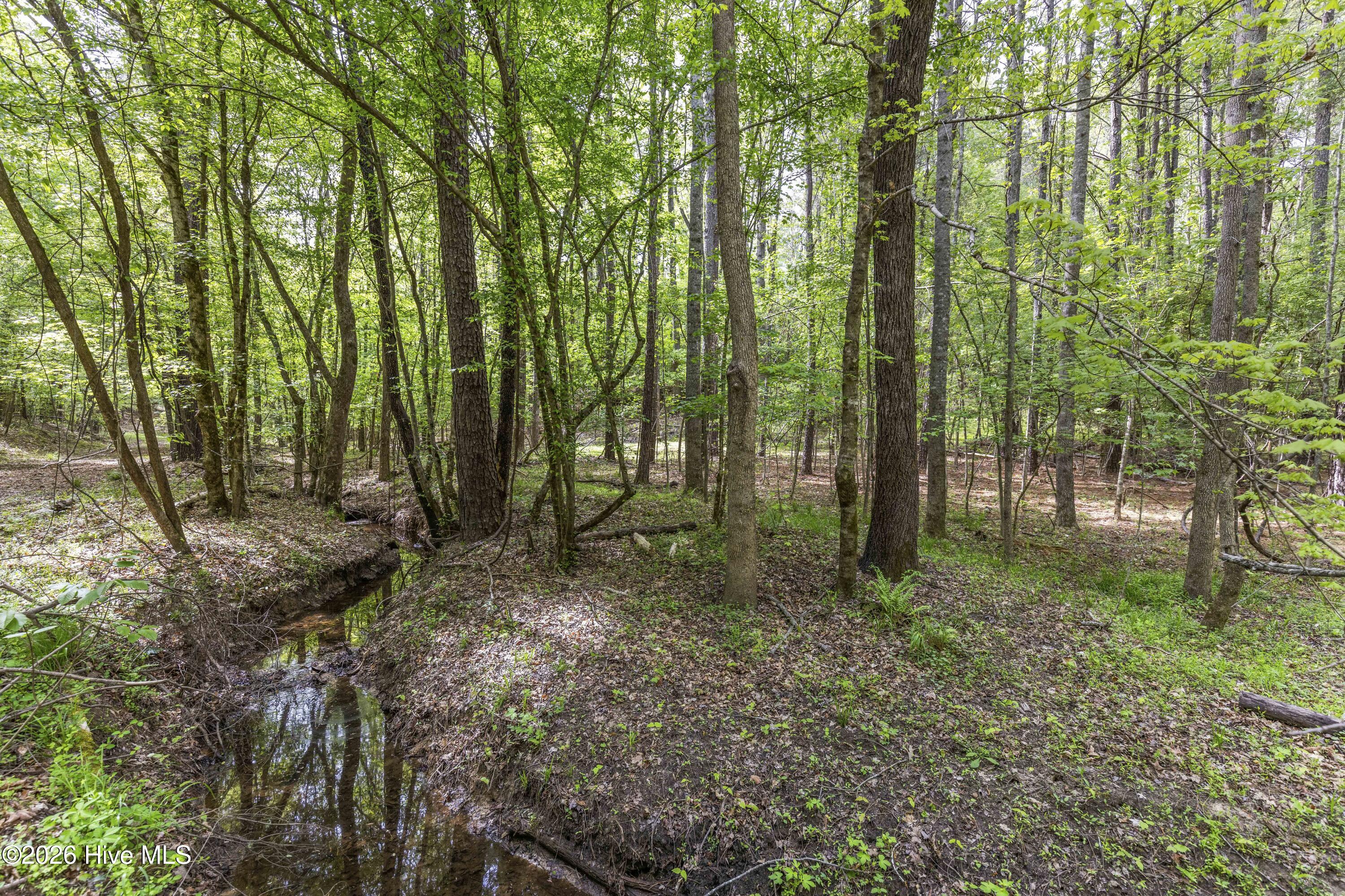 3100 Buckhorn Road Property Photo 41