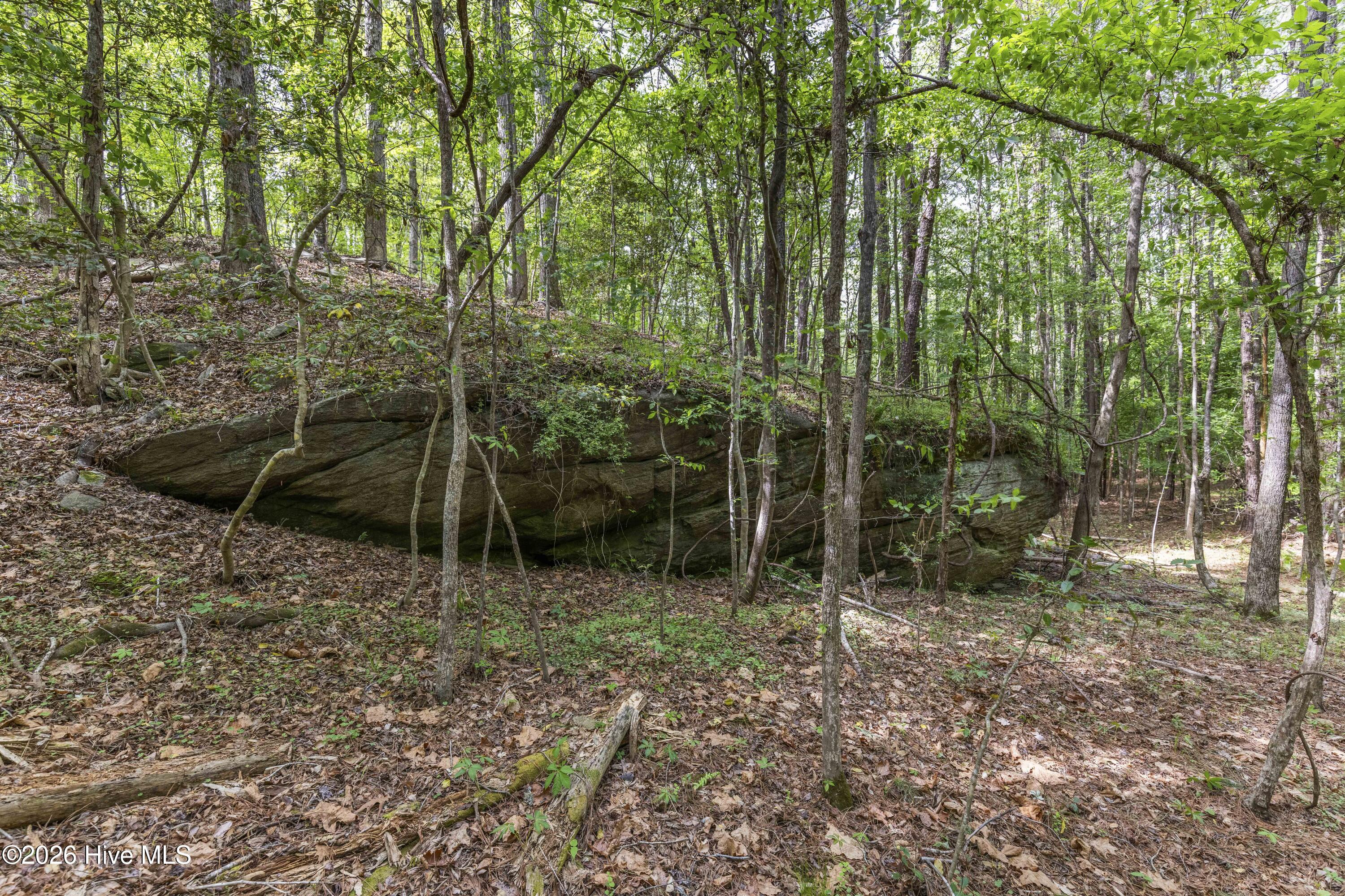 3100 Buckhorn Road Property Photo 43