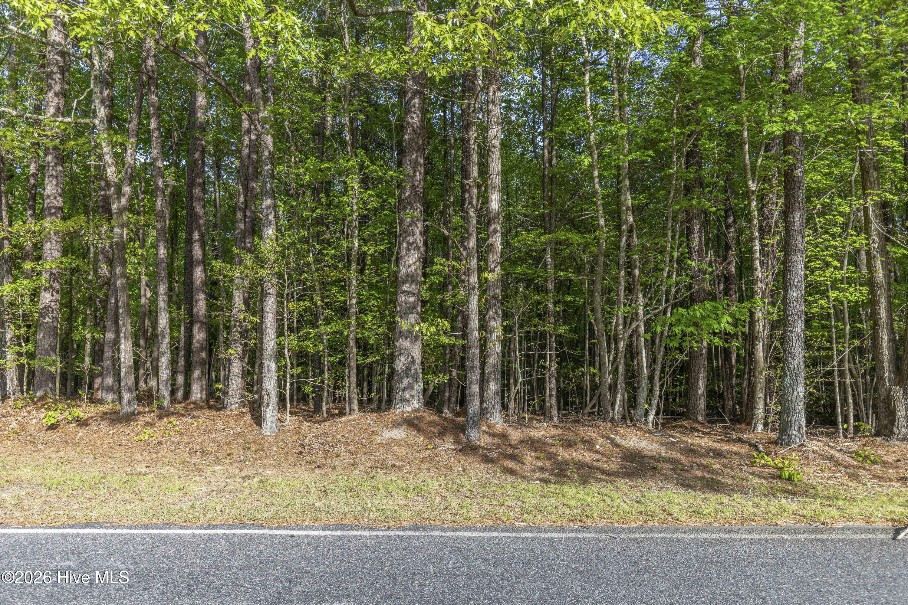 3100 Buckhorn Road Property Photo 67
