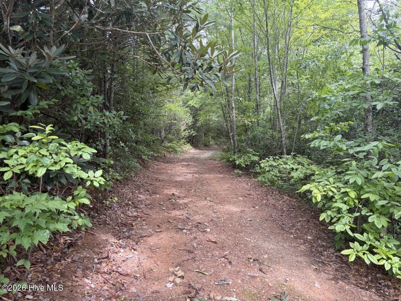 760 Cliff Top Trail Property Photo 2