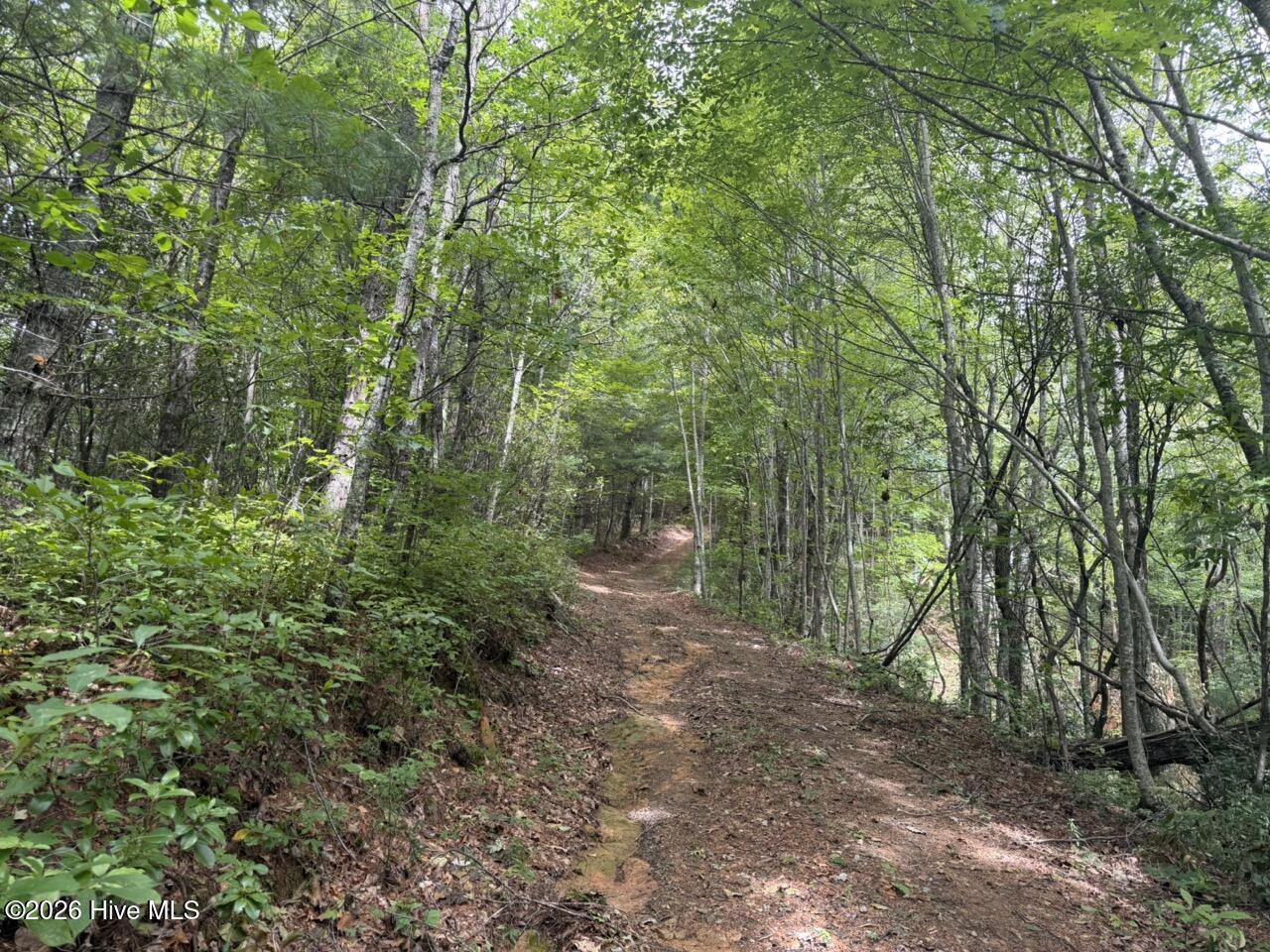 760 Cliff Top Trail Property Photo 3
