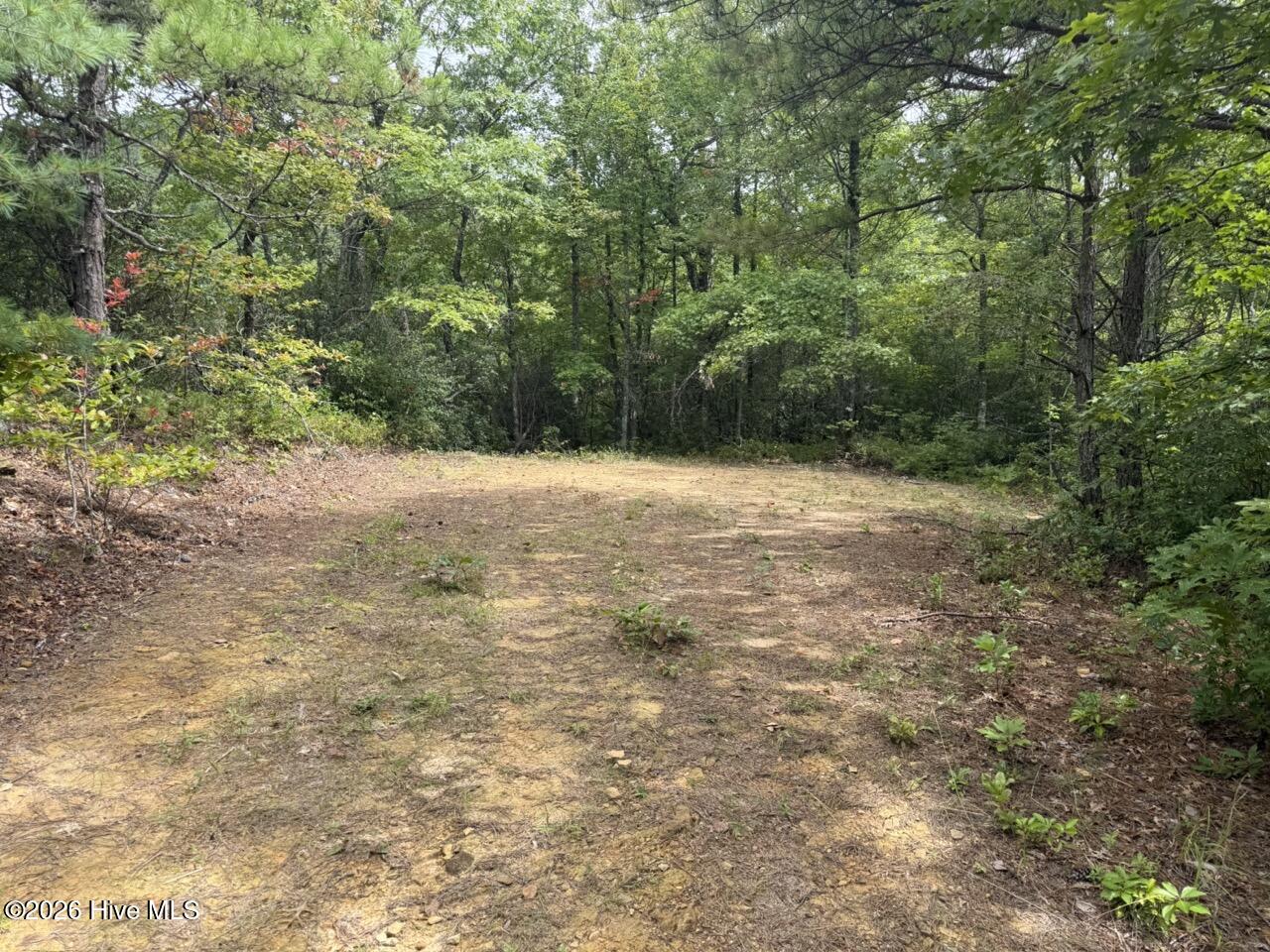 760 Cliff Top Trail Property Photo 4