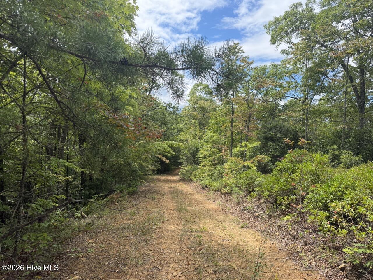 760 Cliff Top Trail Property Photo 5