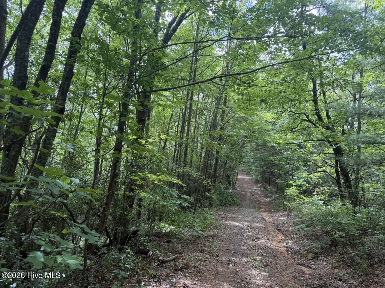 760 Cliff Top Trail Property Photo 7