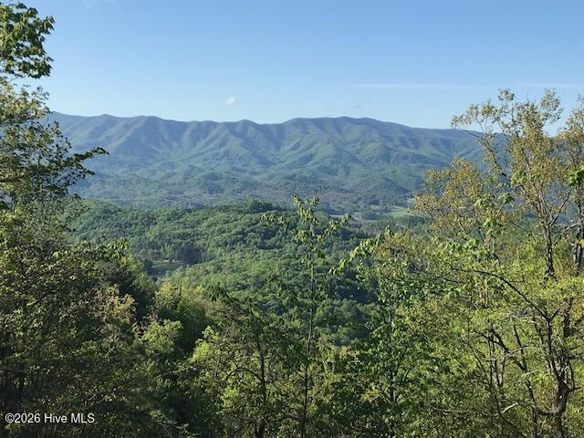 760 Cliff Top Trail Property Photo 10