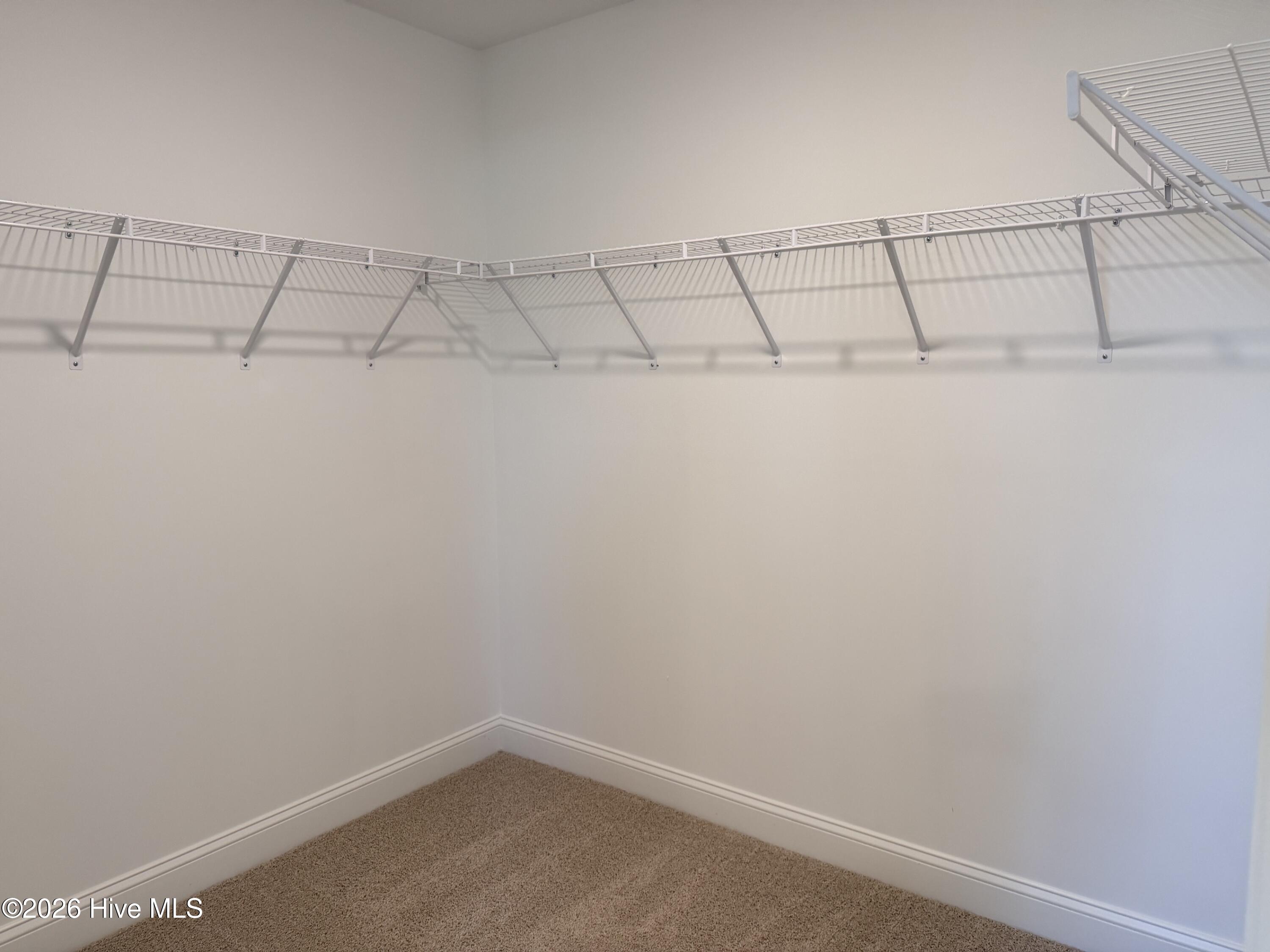 347 Thorntons Creek Drive Property Photo 10