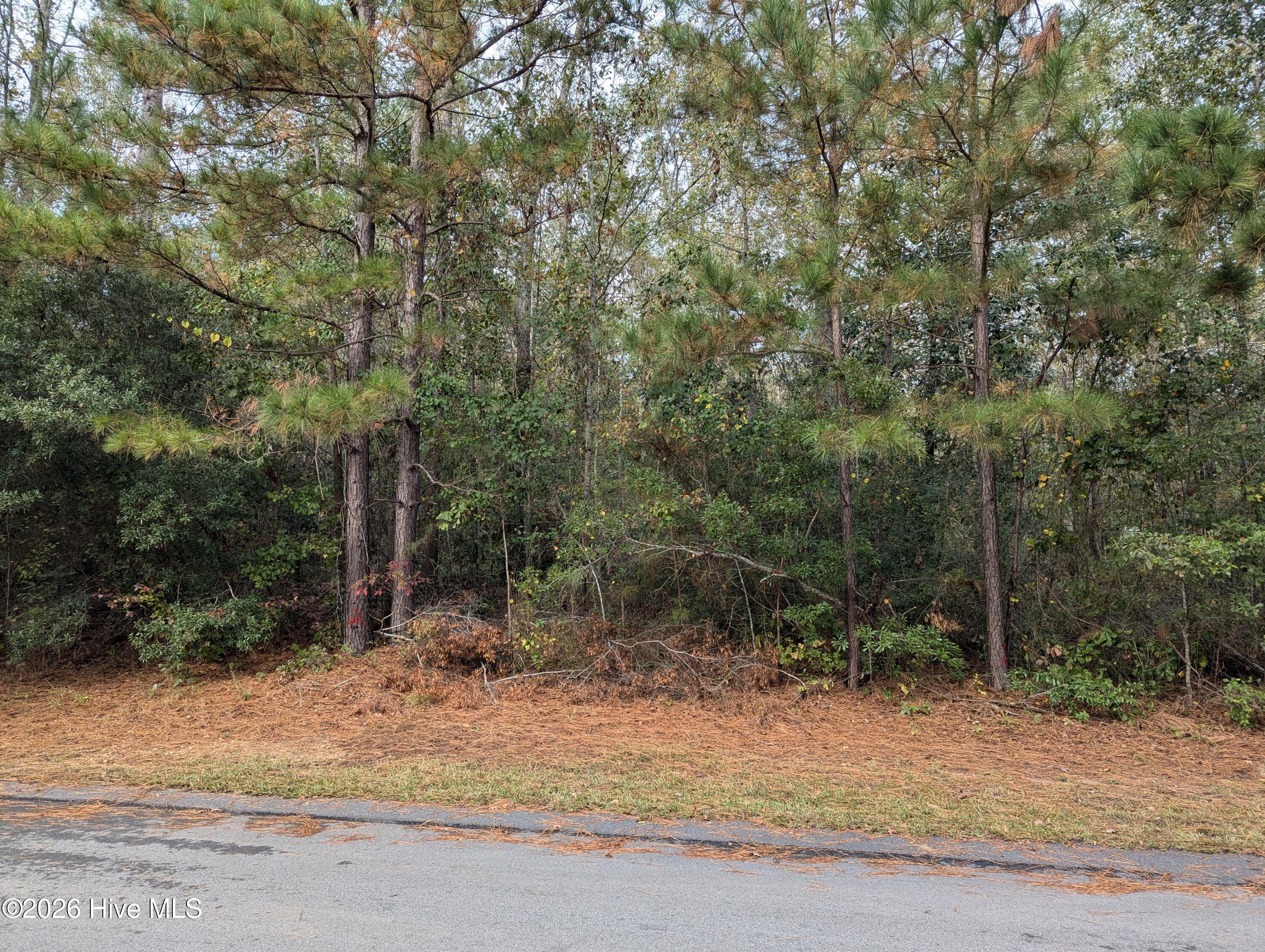 0 Summercreek Drive Property Photo 1