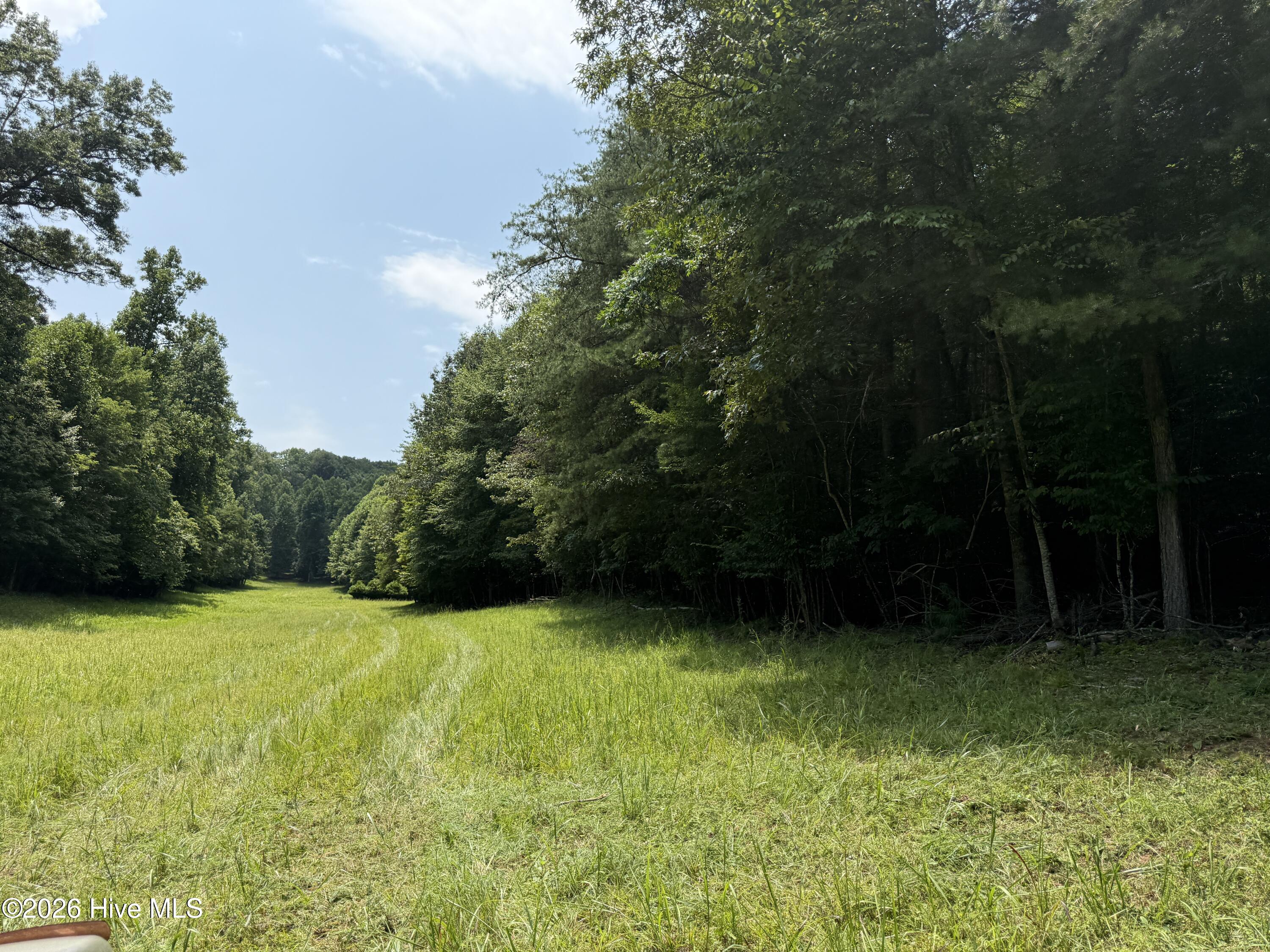 200 Avalon Crest Property Photo 11