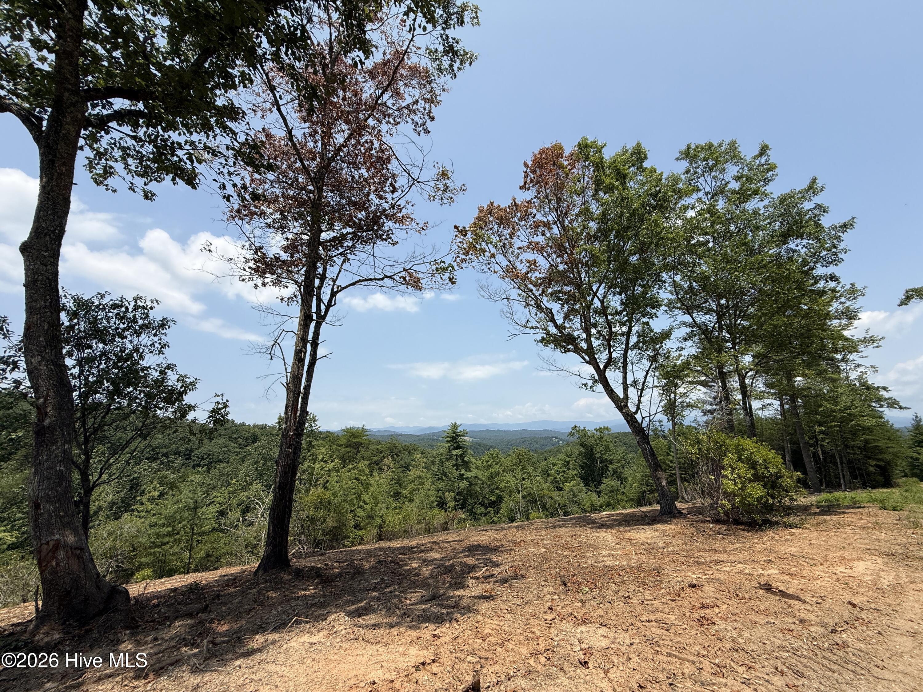 200 Avalon Crest Property Photo 18