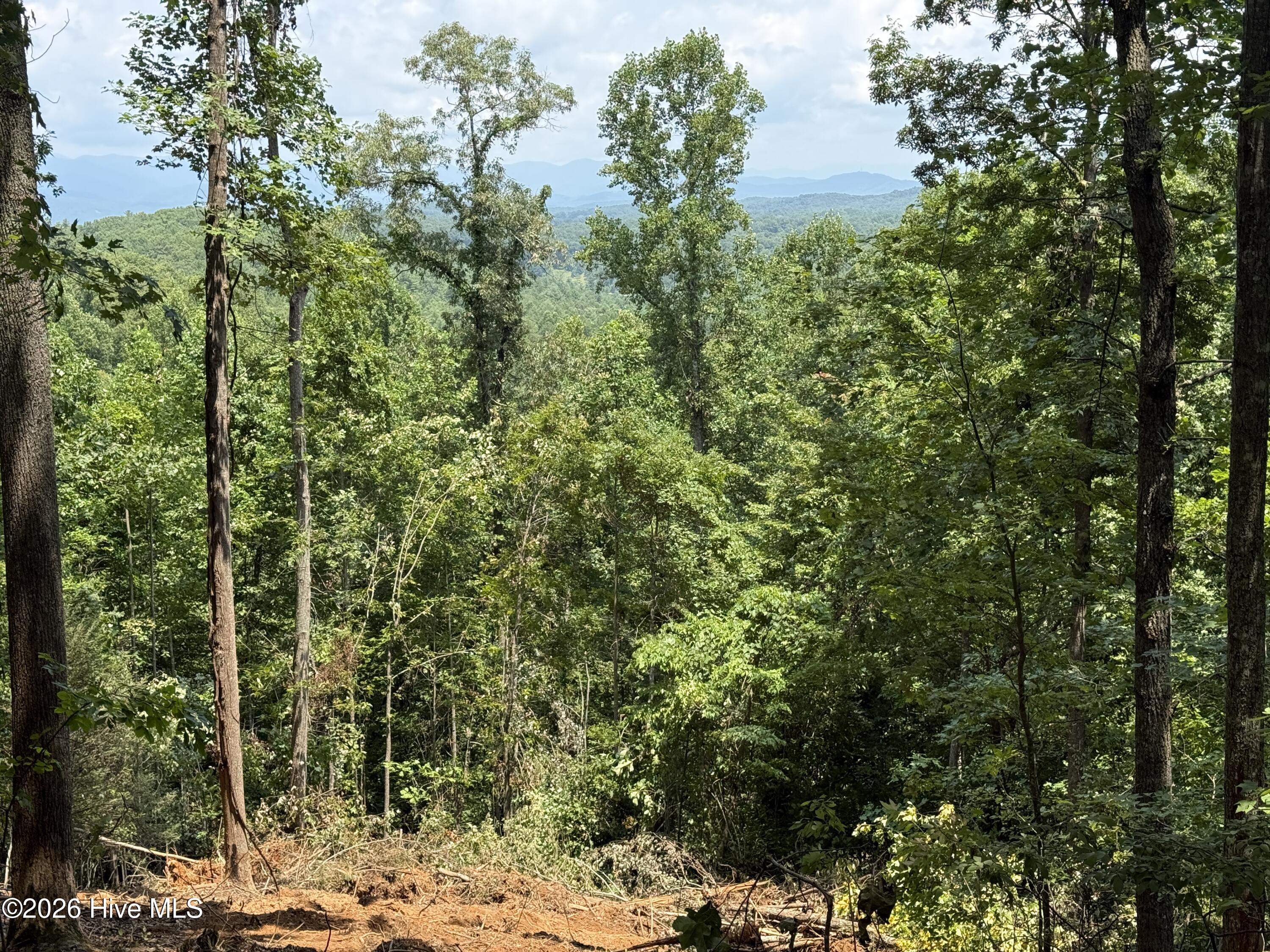 200 Avalon Crest Property Photo 24