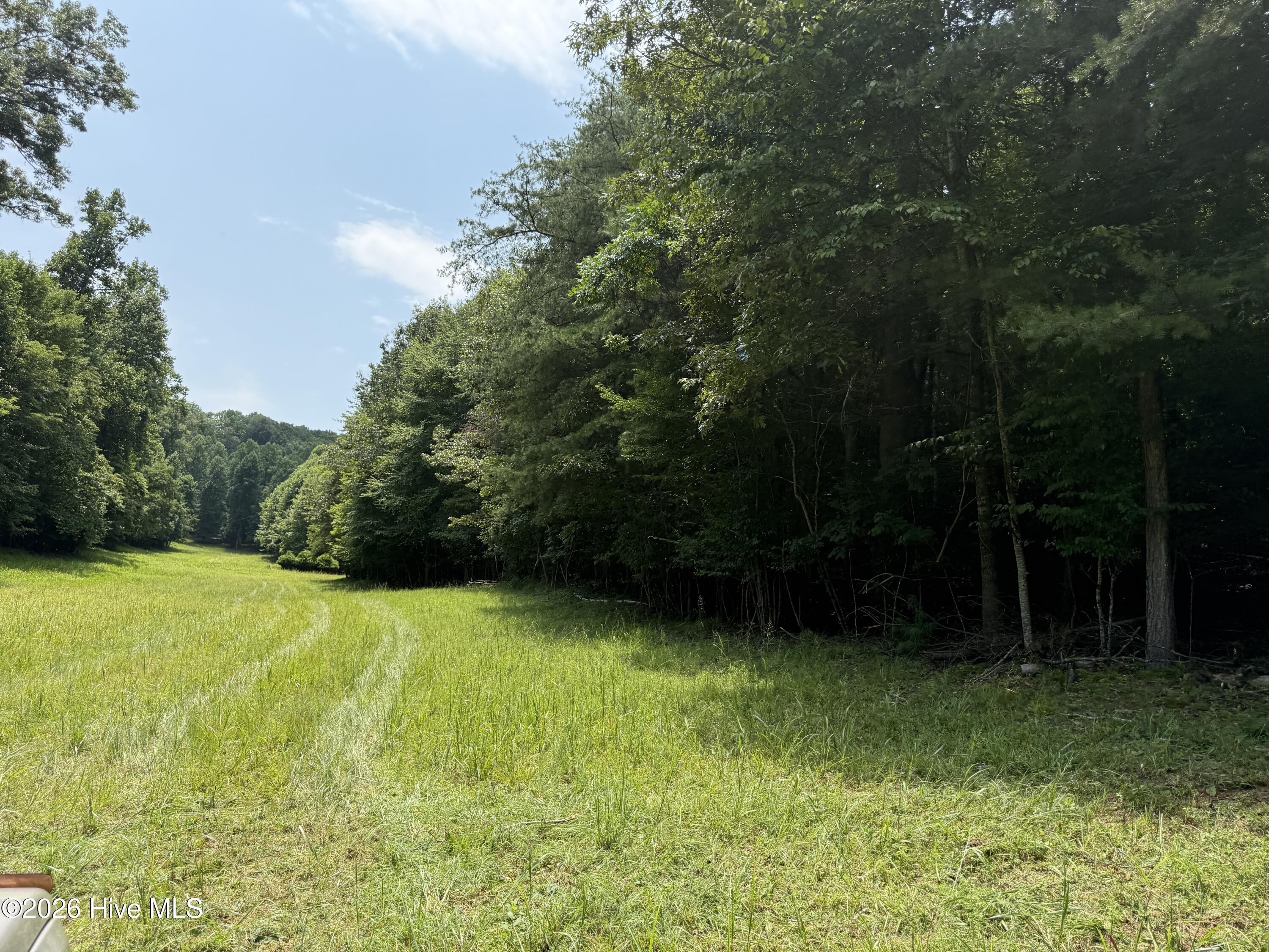 200 Avalon Crest Property Photo 30