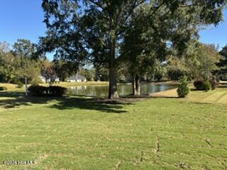 143 Firethorn Circle Property Photo 14