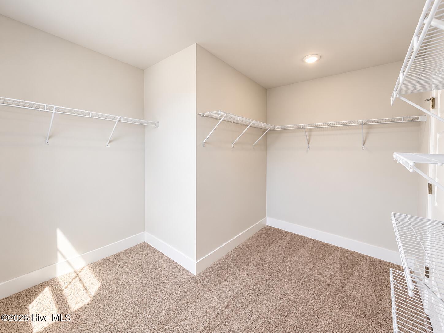 1786 Travor Street Lot 103 Property Photo 22