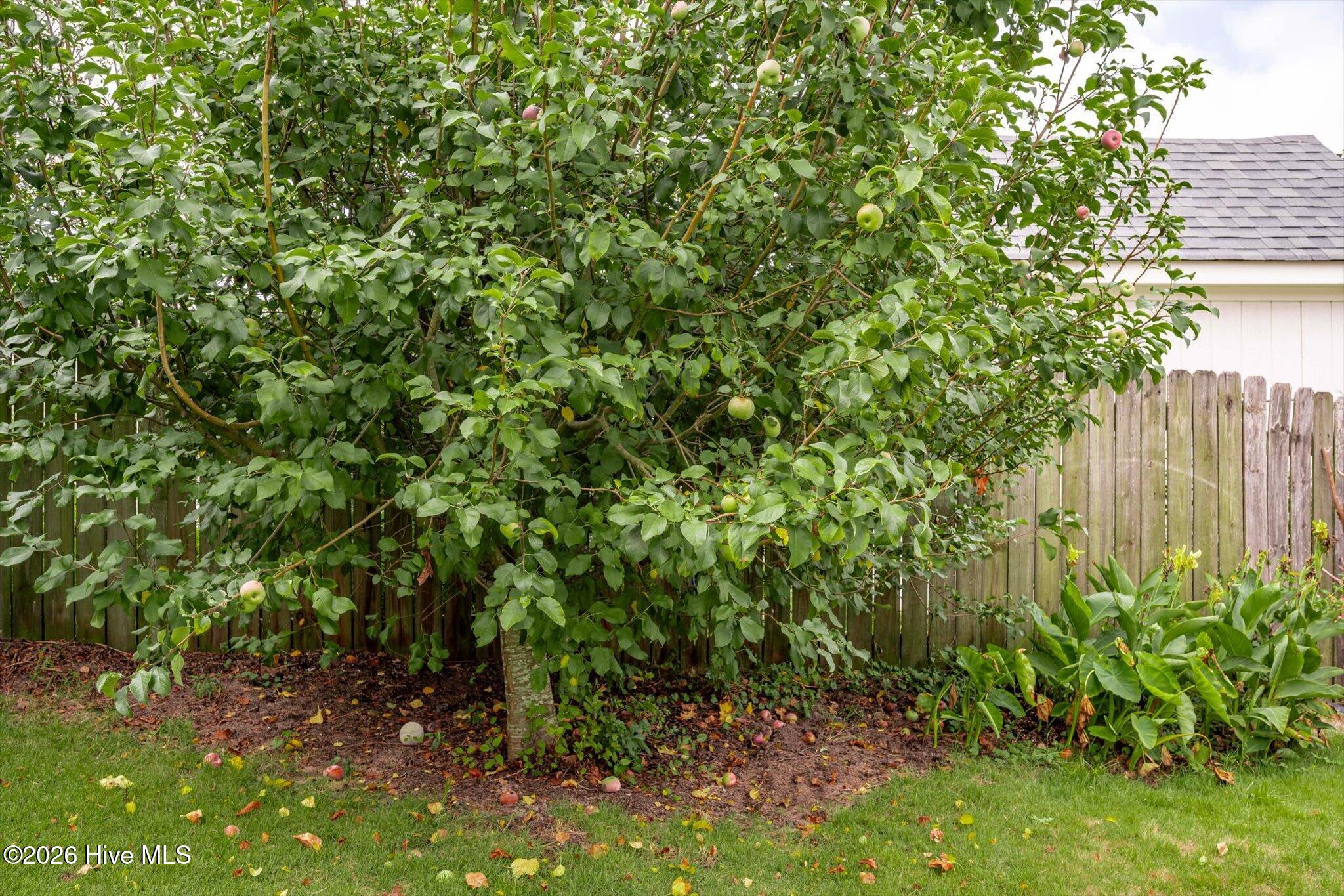 1005 West Avenue Property Photo 29