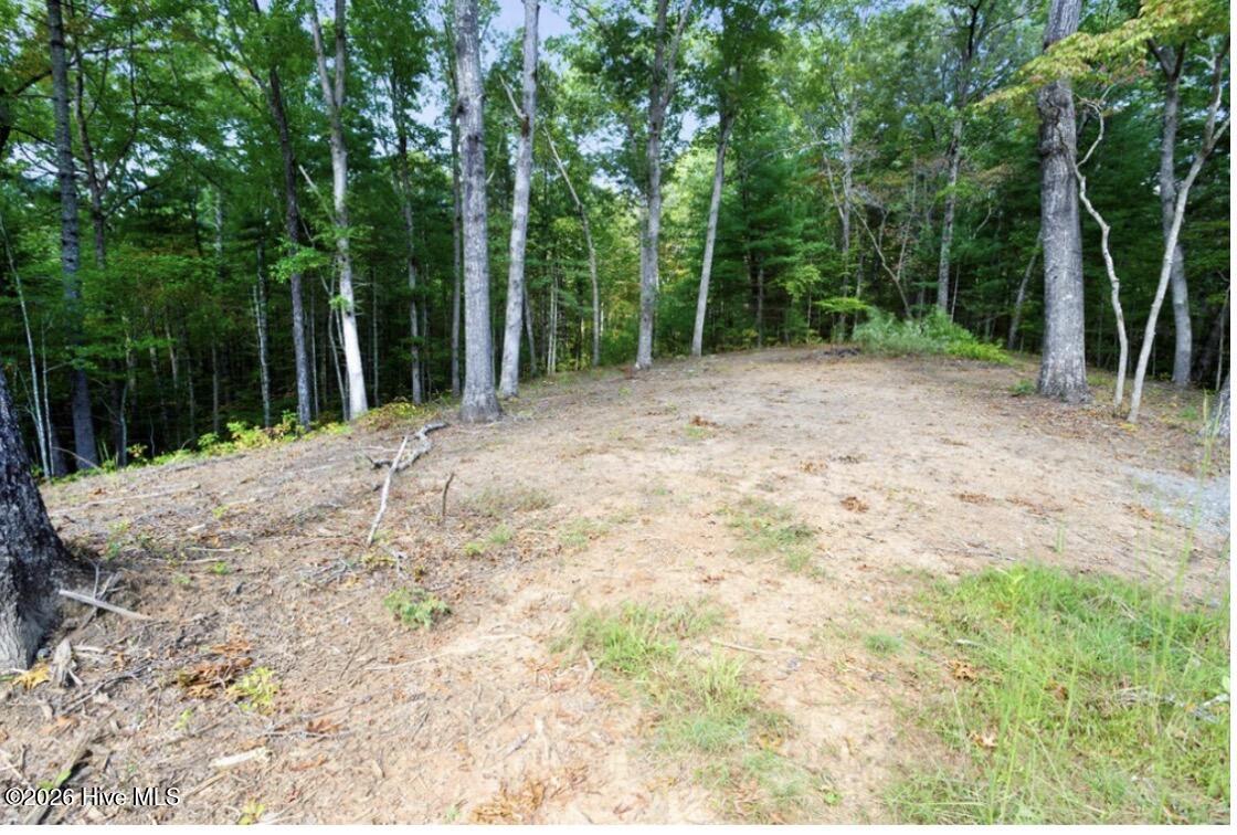 Tbd Nature Valley Trail Property Photo 3