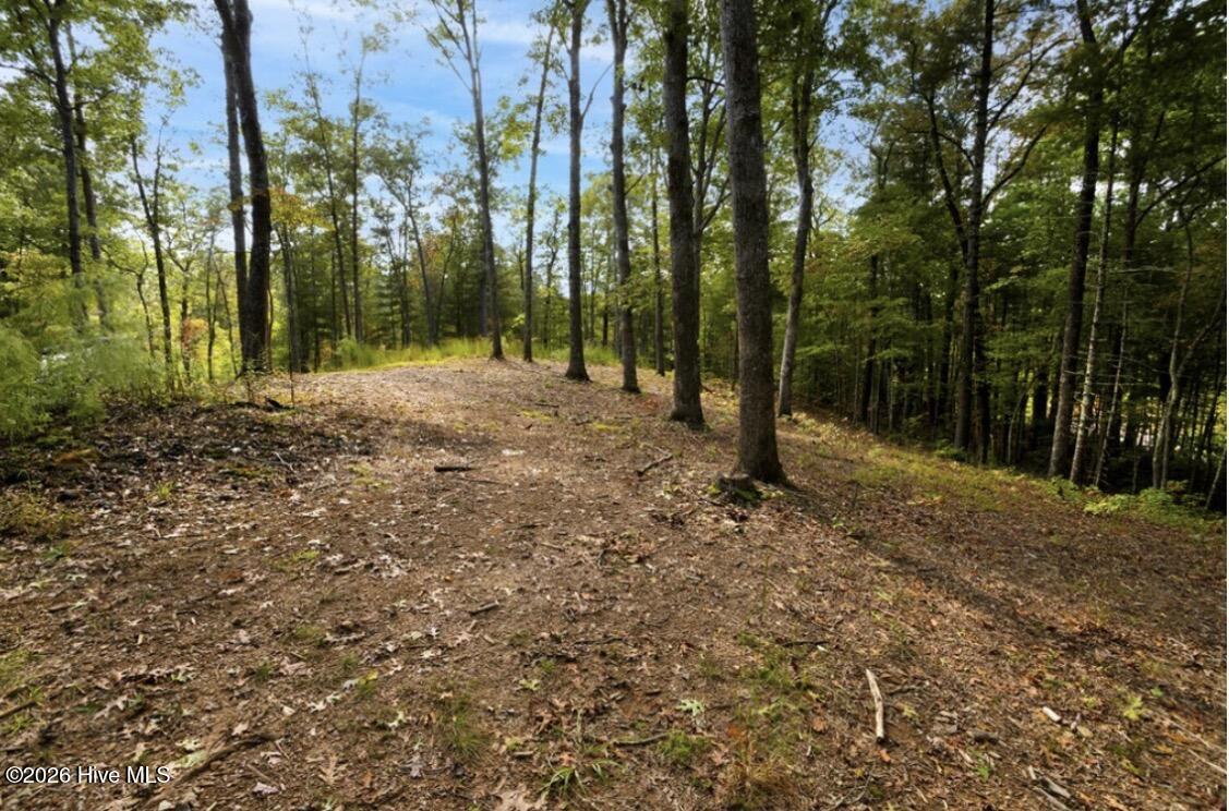 Tbd Nature Valley Trail Property Photo 5