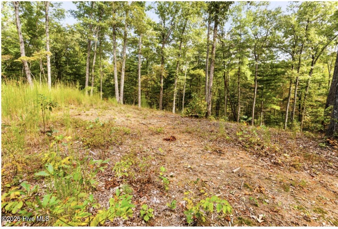 Tbd Nature Valley Trail Property Photo 7