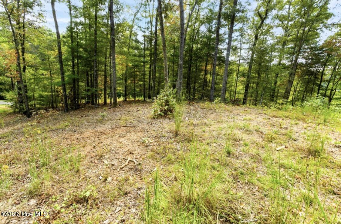 Tbd Nature Valley Trail Property Photo 8