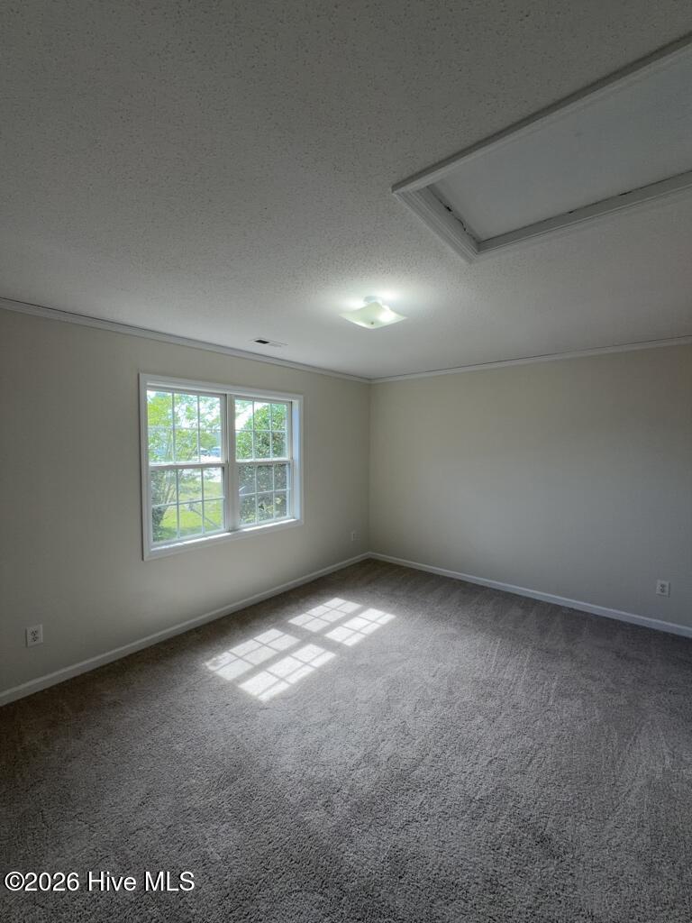 206 Faison Lane Property Photo 11