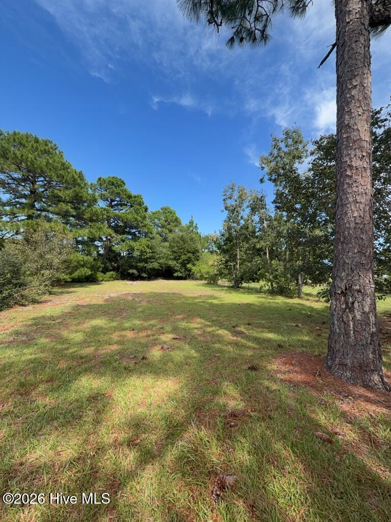 206 Faison Lane Property Photo 15