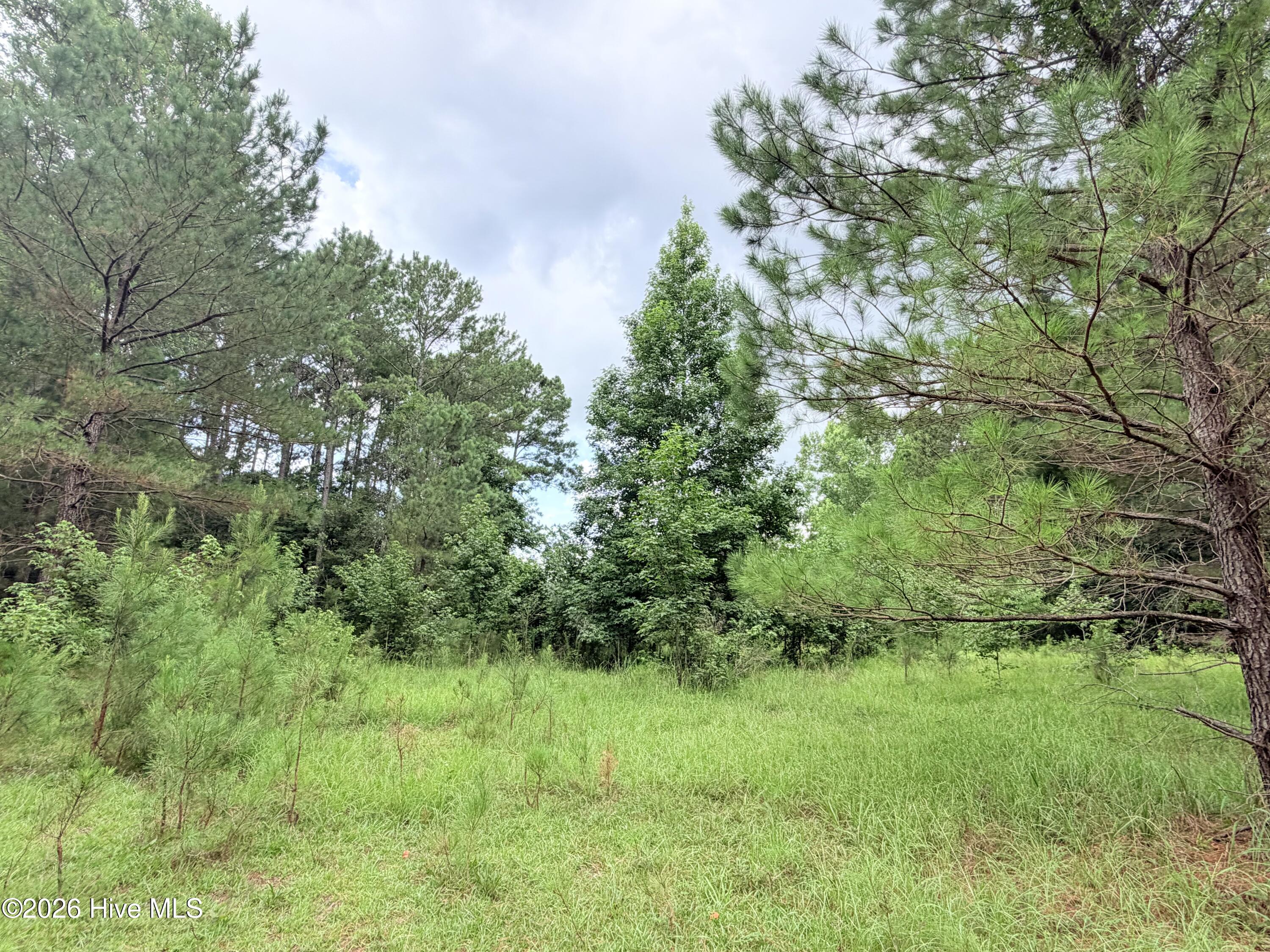 6 31a Grant Circle Property Photo 3