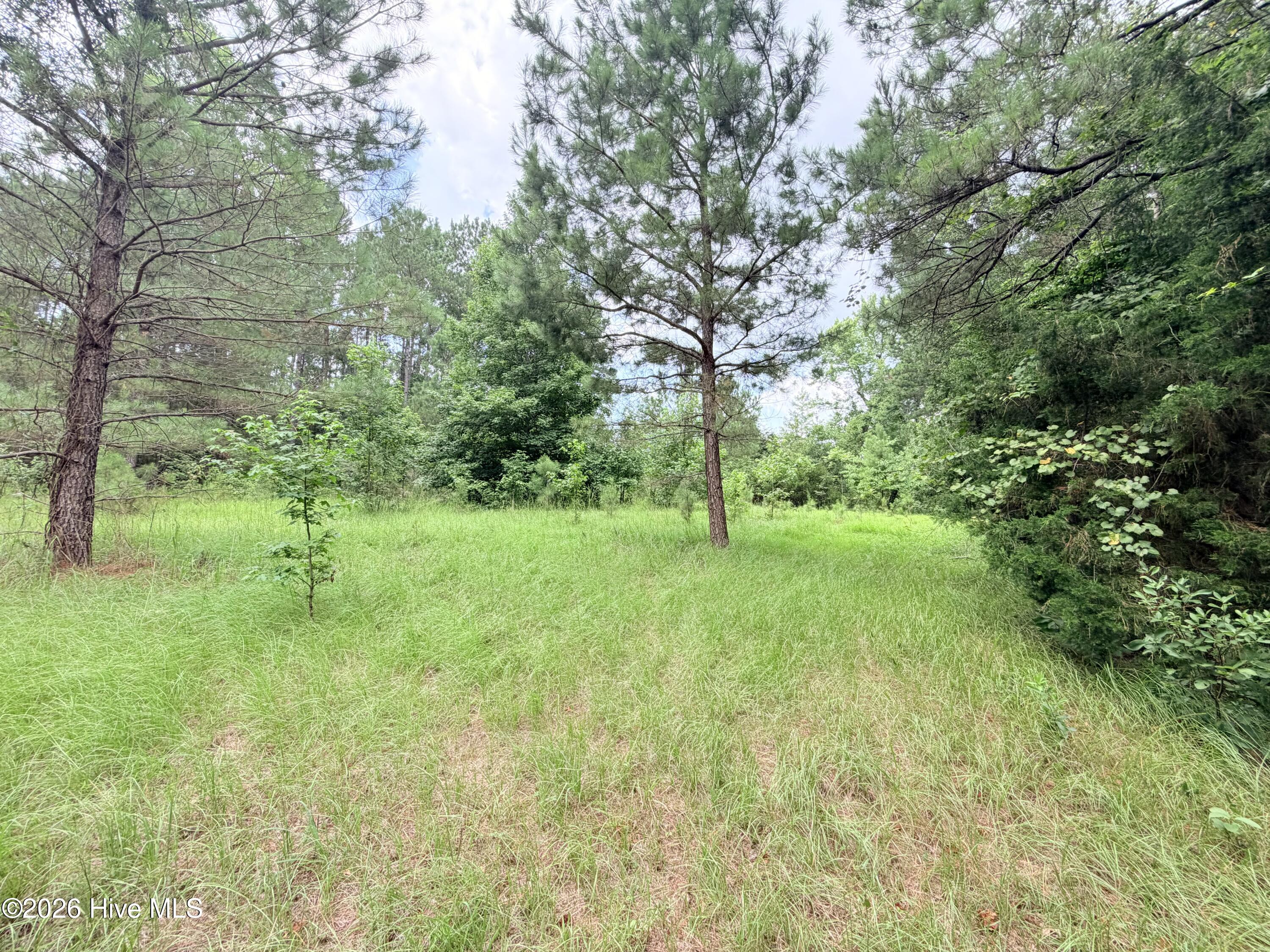 6 31a Grant Circle Property Photo 4