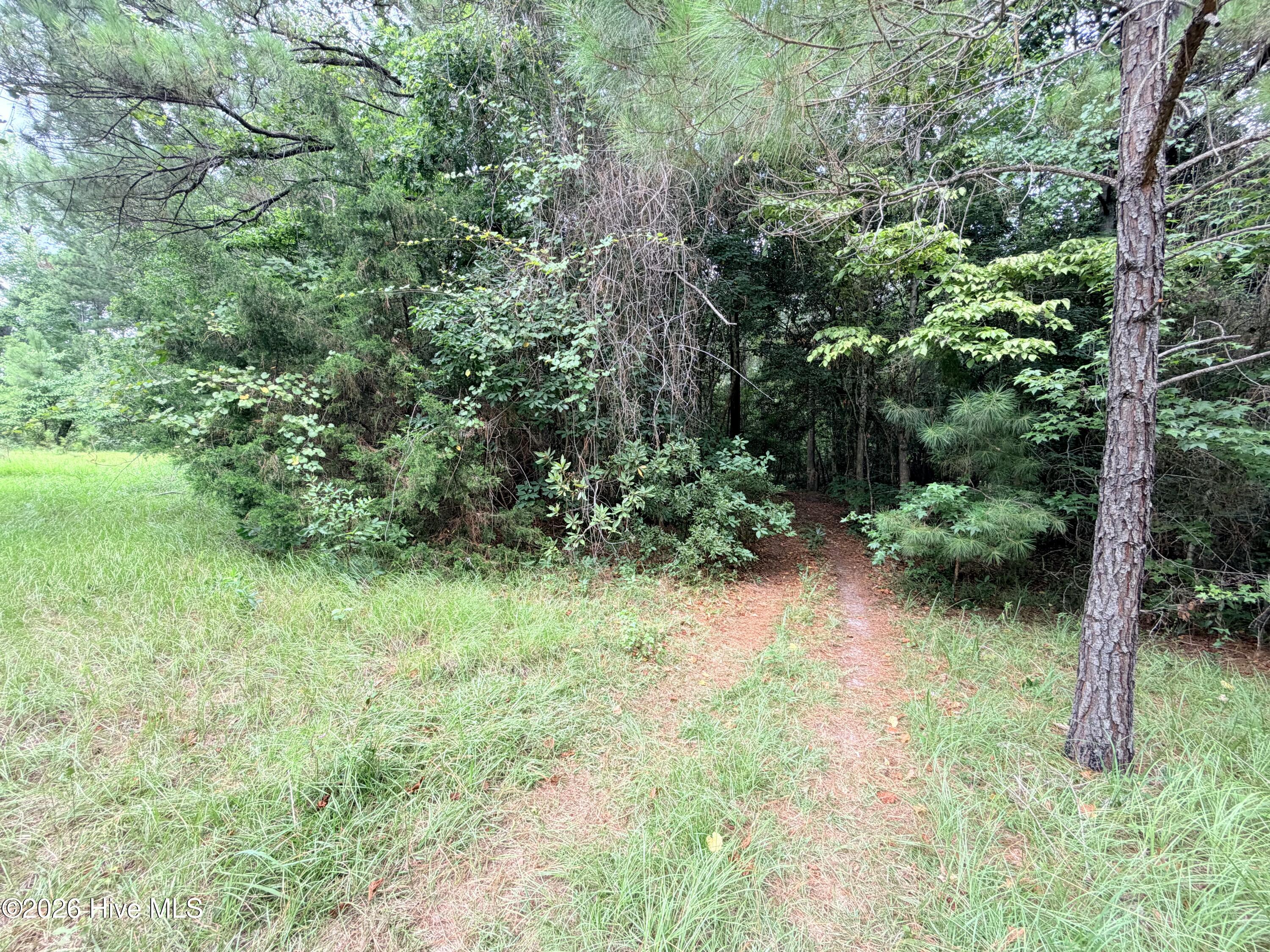 6 31a Grant Circle Property Photo 5