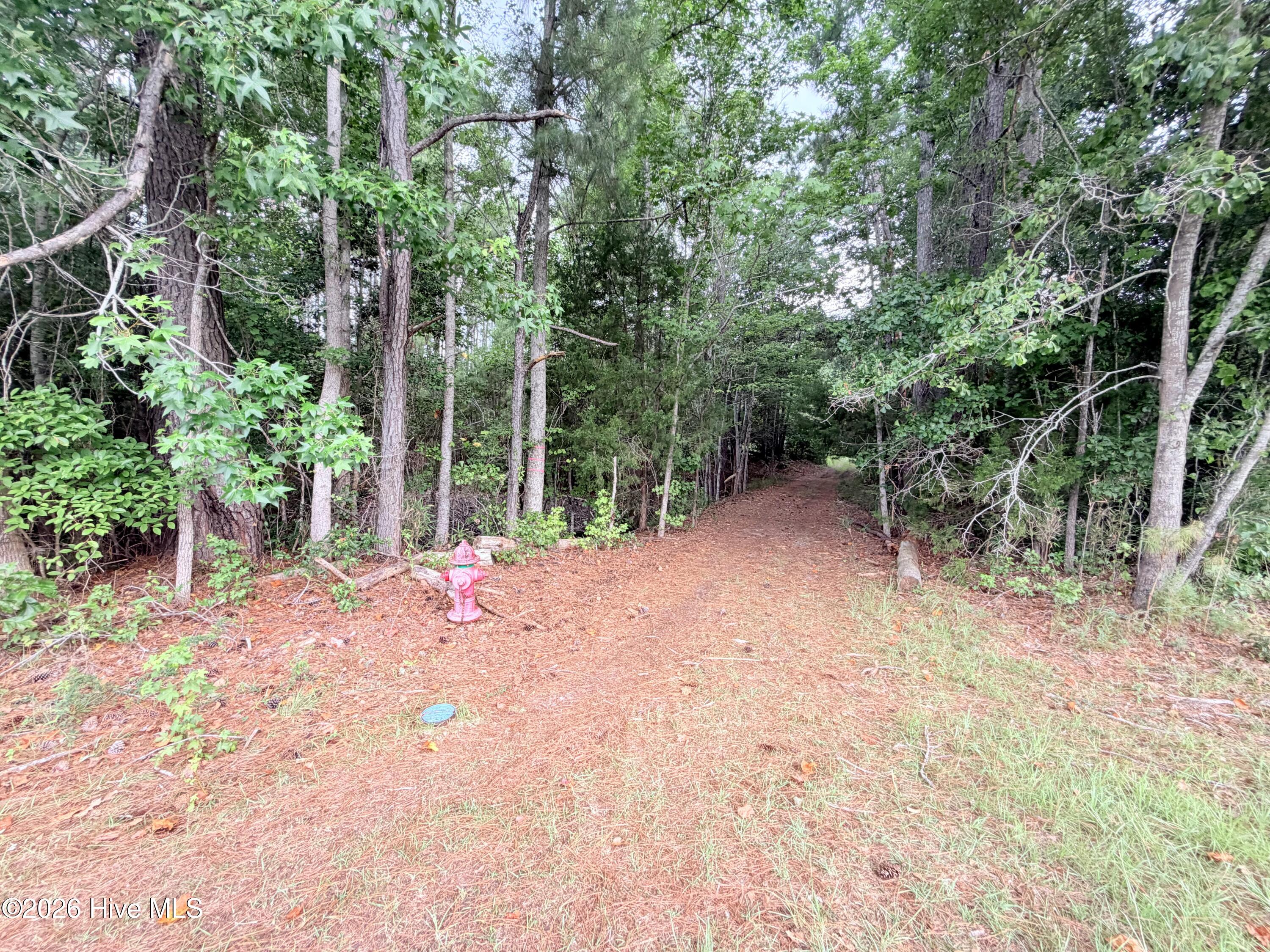 6 31a Grant Circle Property Photo 22