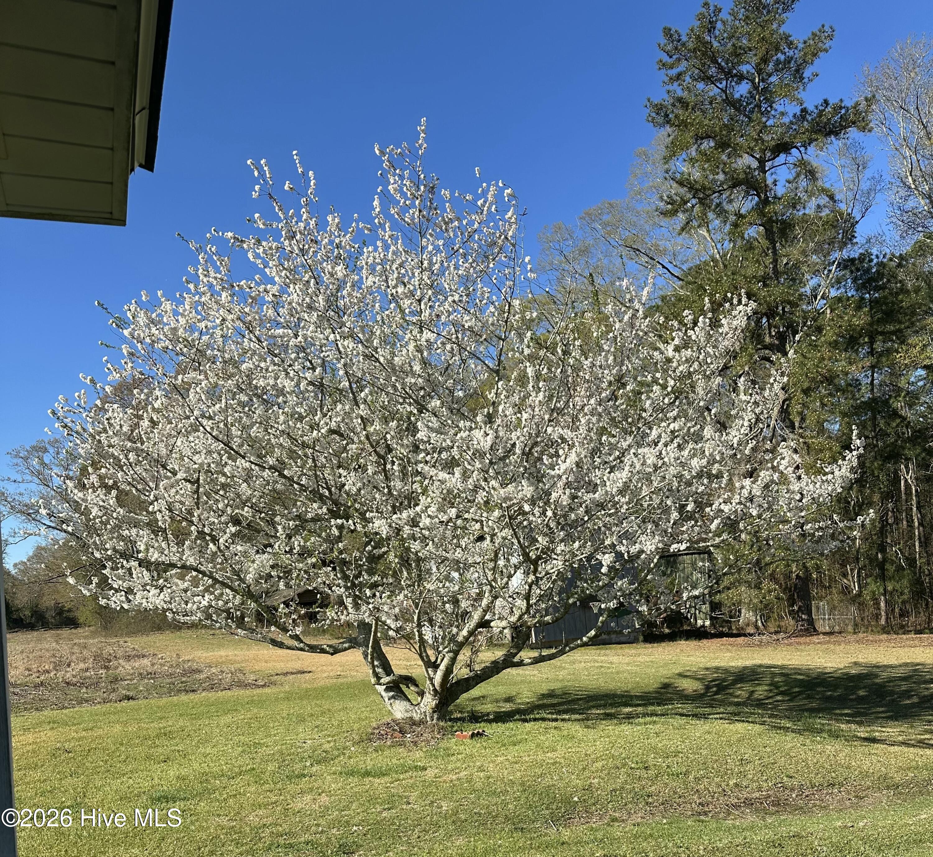 4897 Braxton Road Property Photo 19
