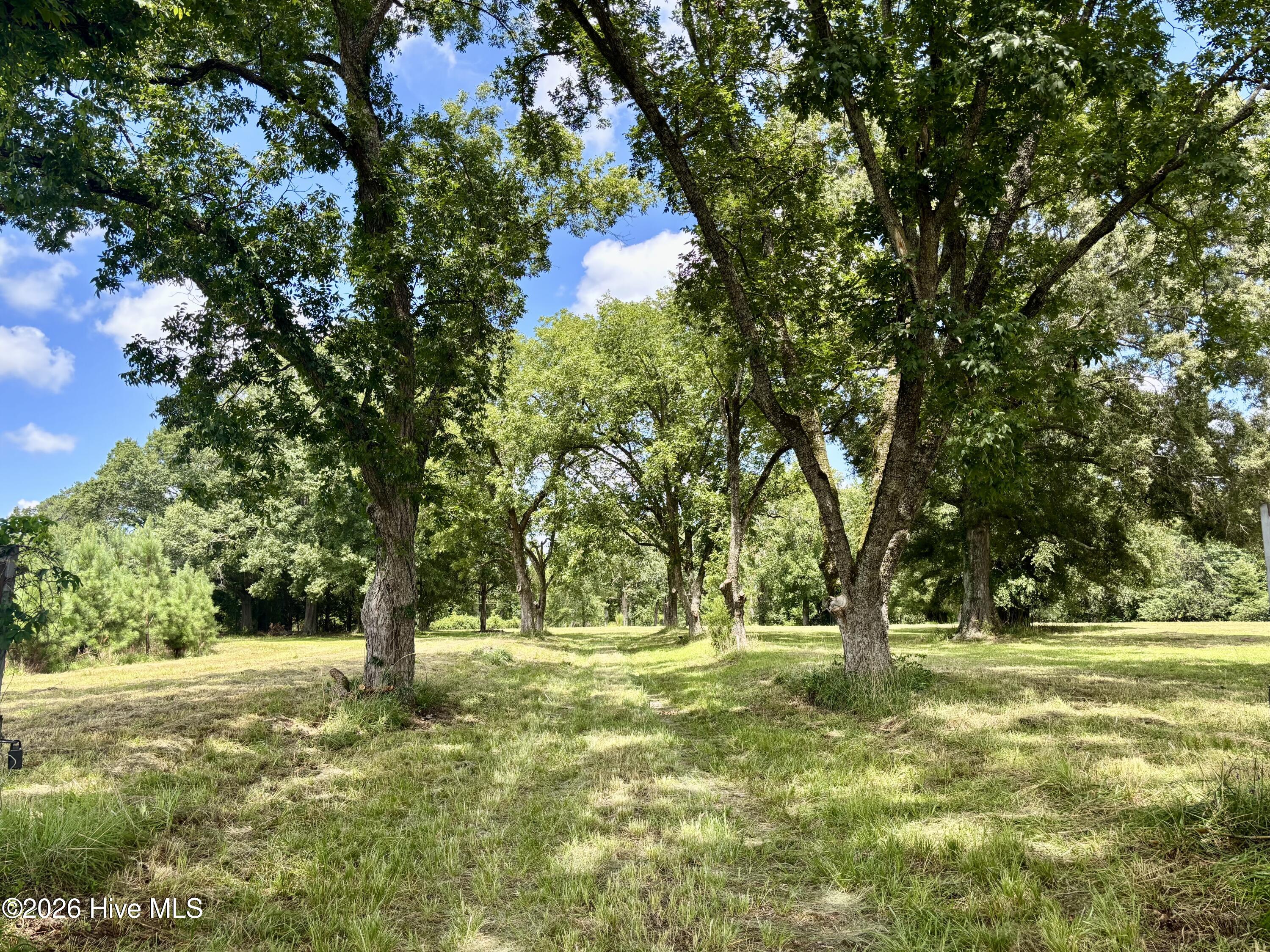 Tbd Roberdel School Road Property Photo 1