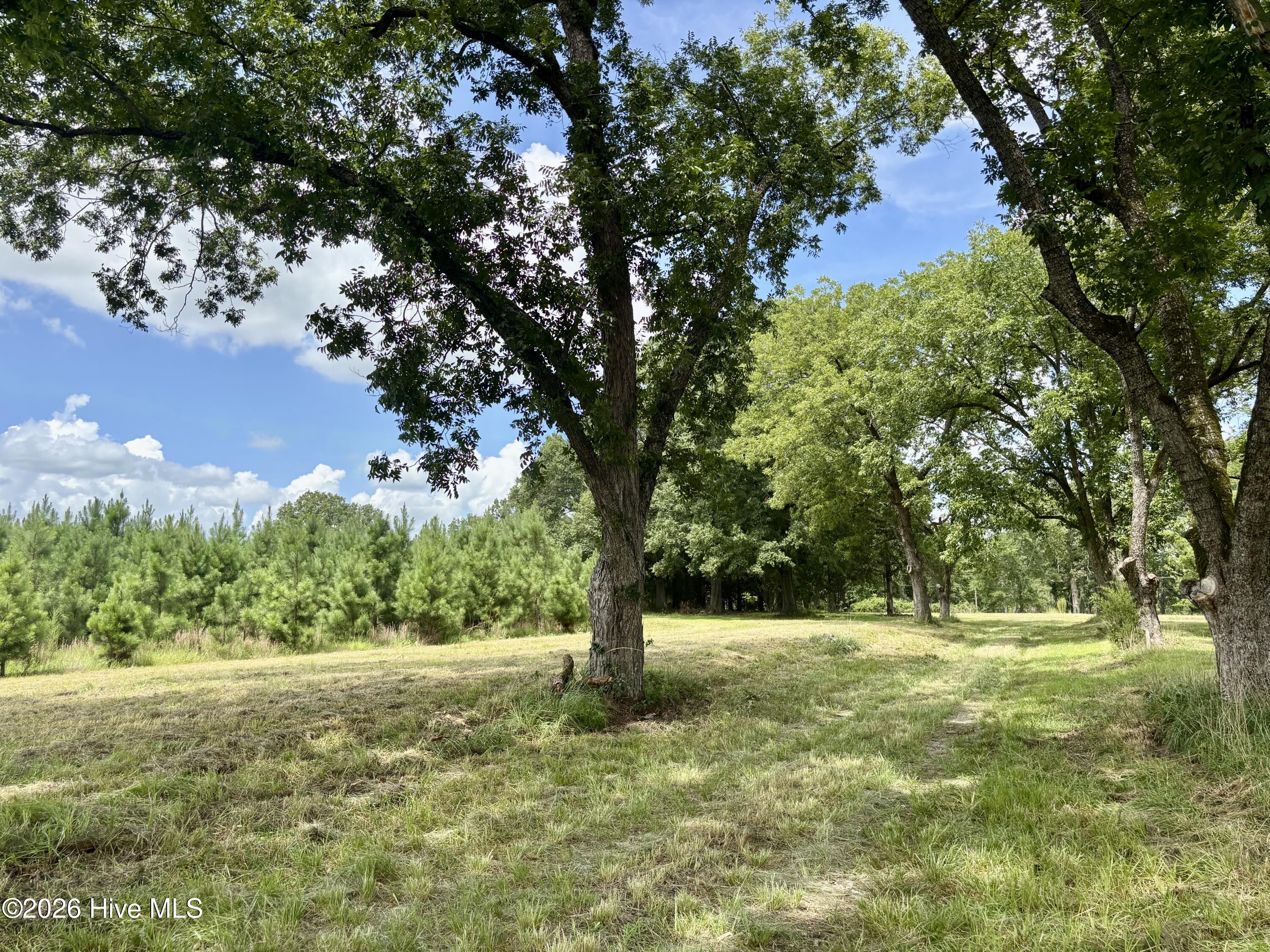 Tbd Roberdel School Road Property Photo 8