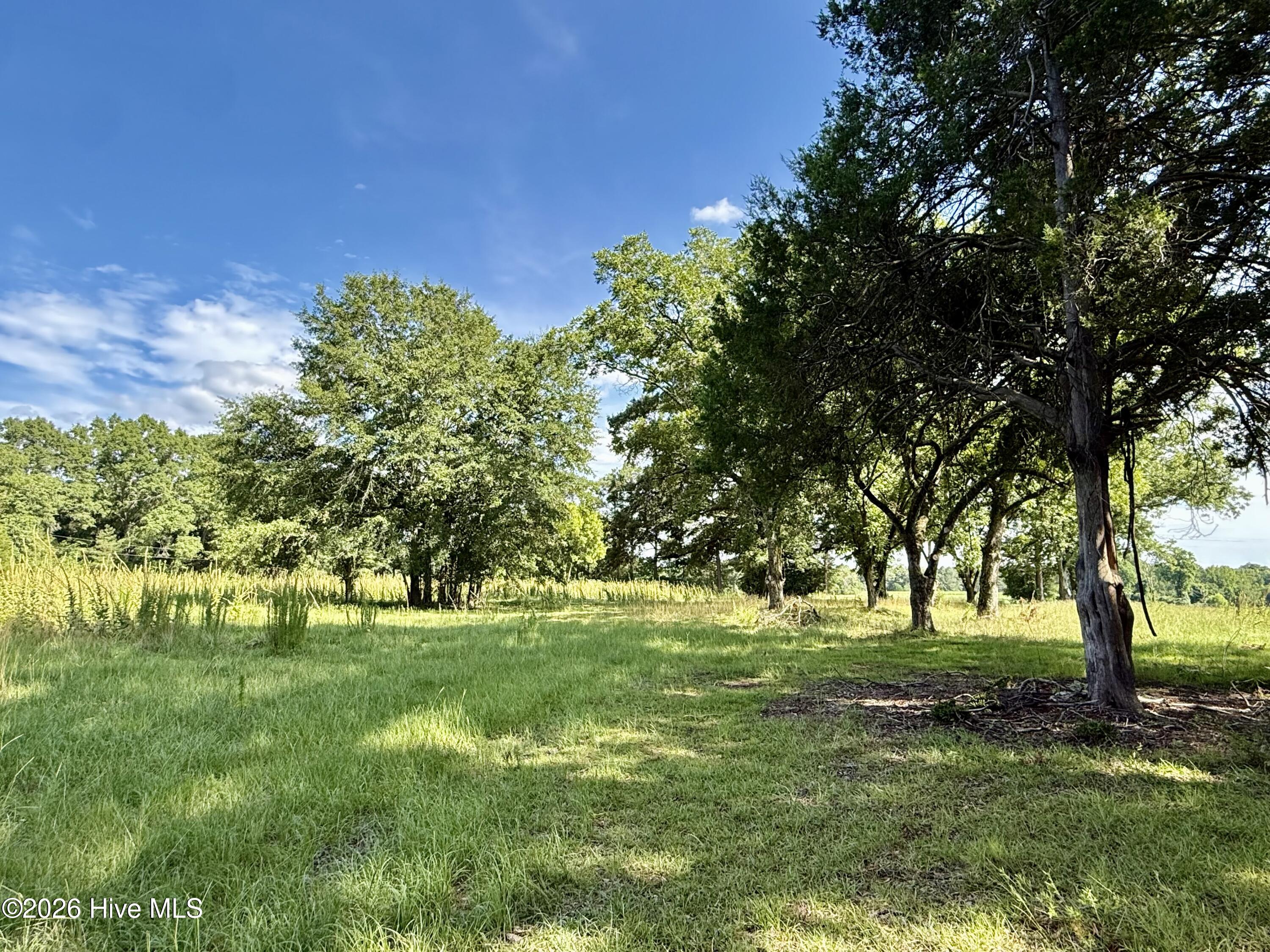Tbd Roberdel School Road Property Photo 10