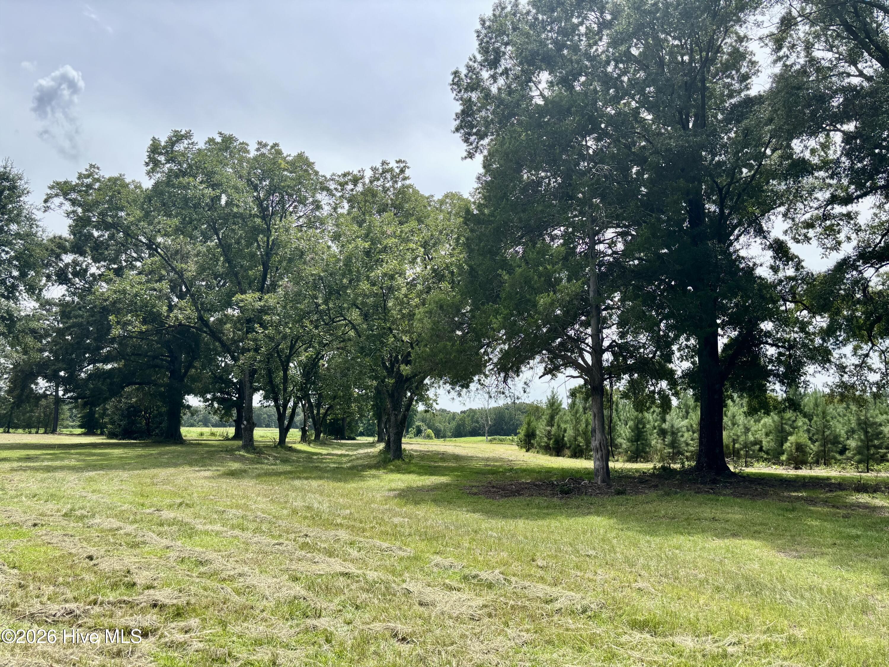 Tbd Roberdel School Road Property Photo 14
