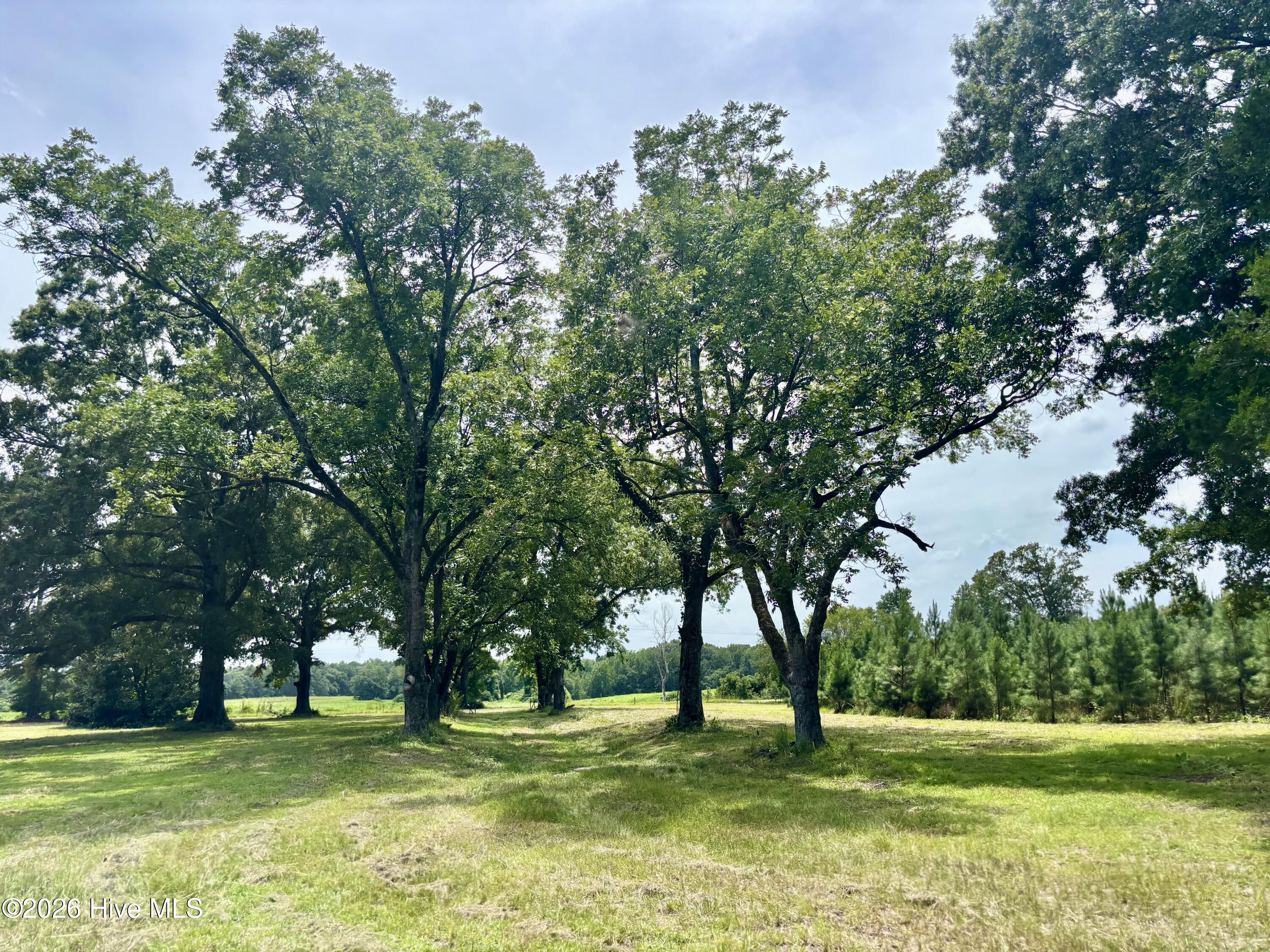 Tbd Roberdel School Road Property Photo 15