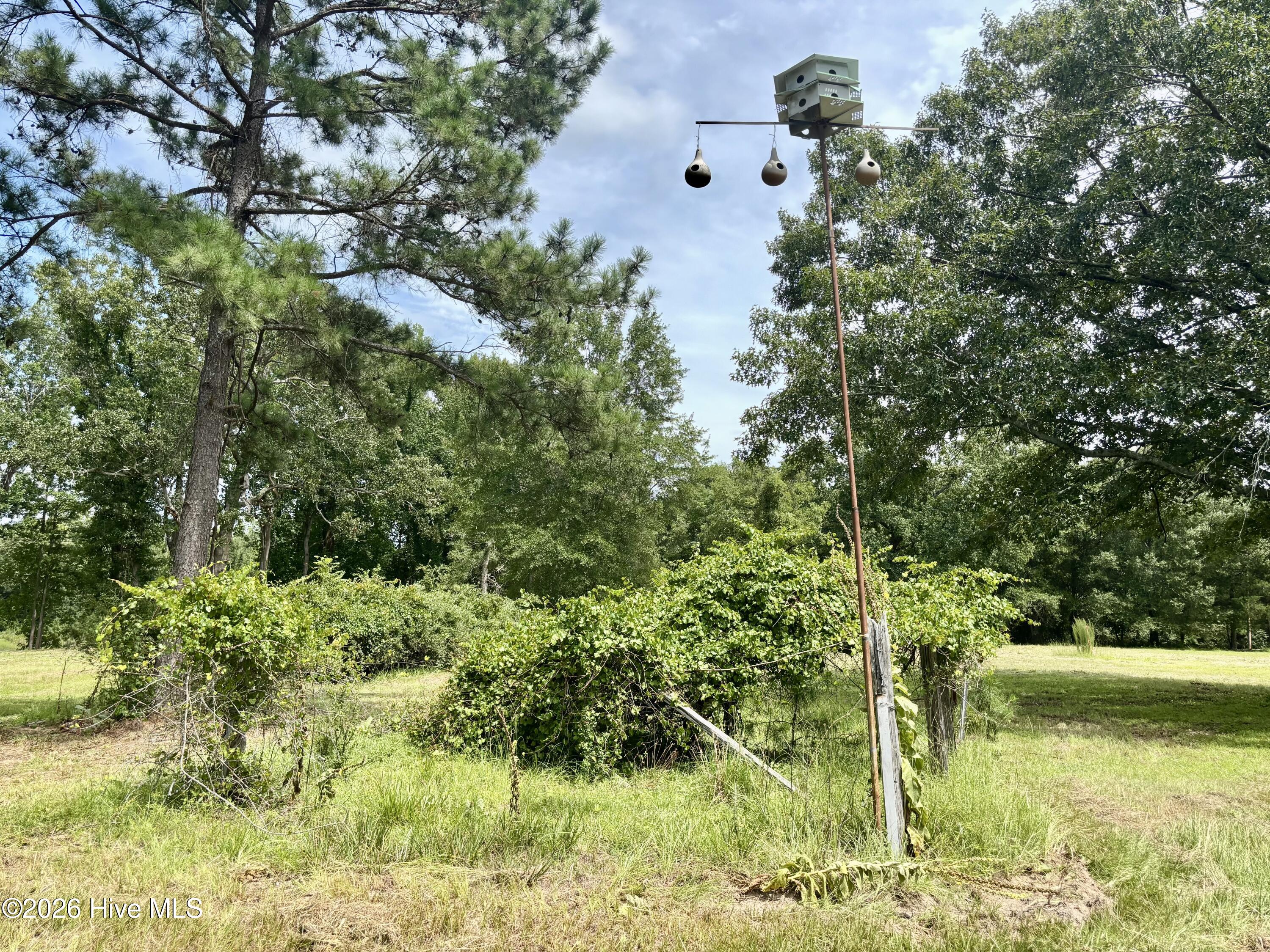 Tbd Roberdel School Road Property Photo 6