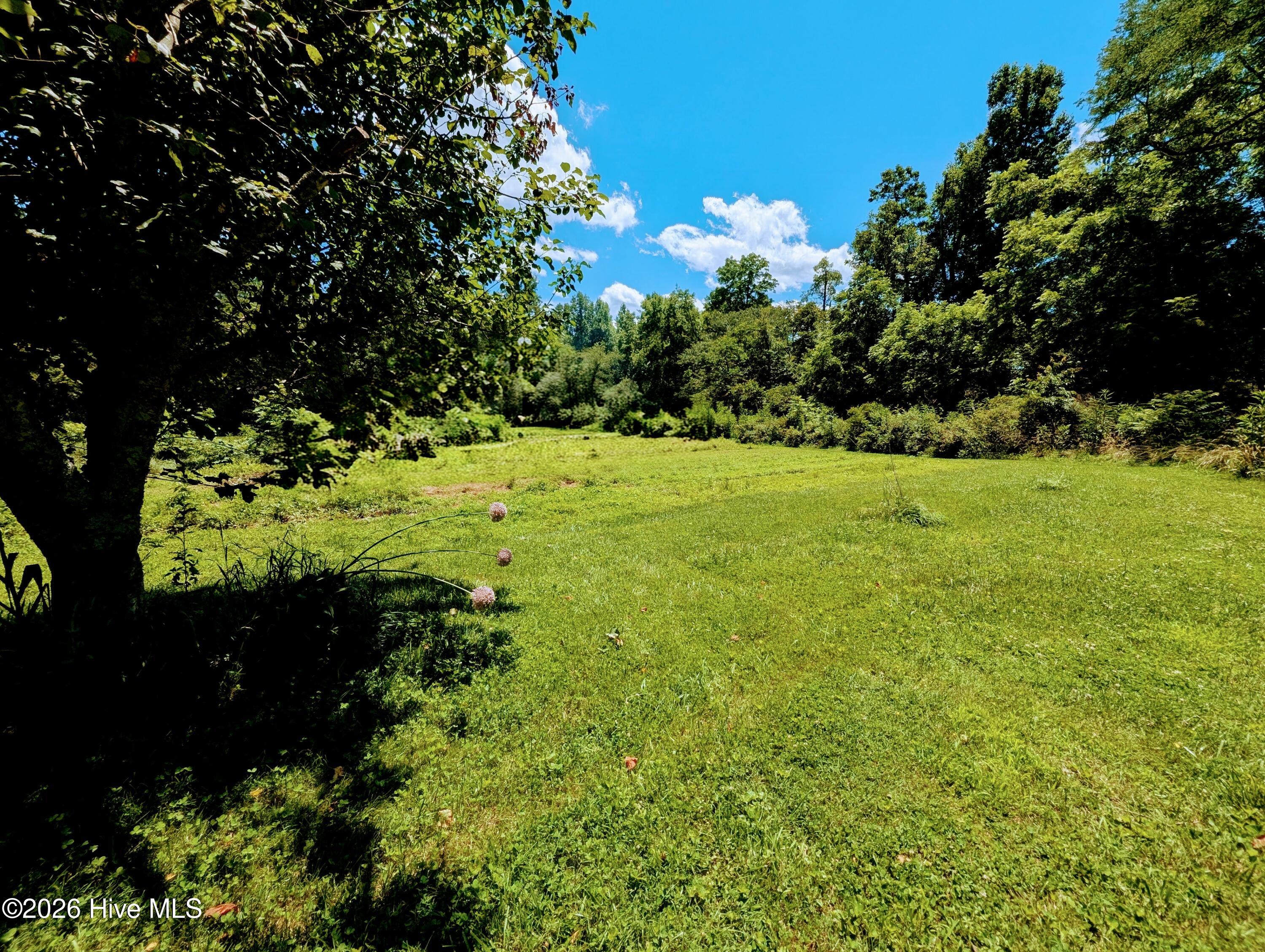 169 E Vineyard Road Property Photo 4