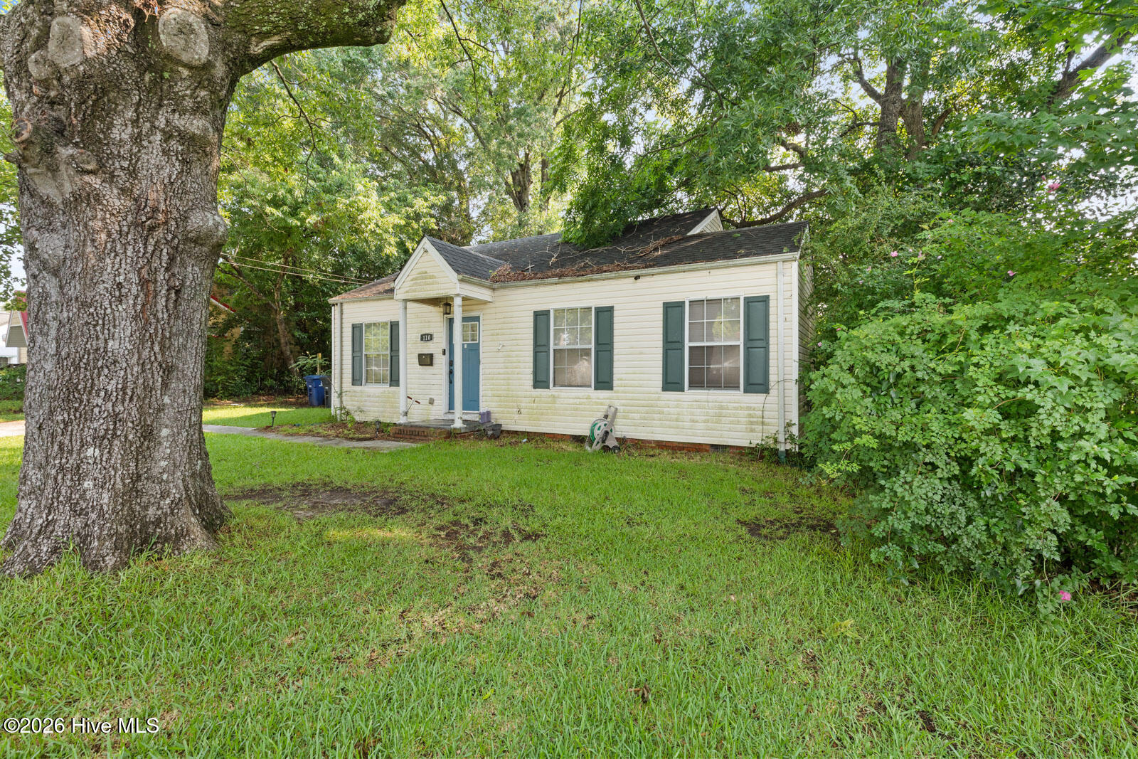 110 Queens Road Property Photo 2