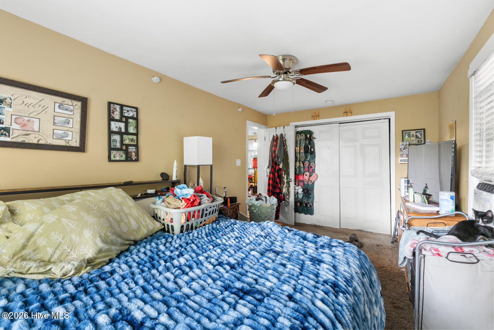 110 Queens Road Property Photo 13