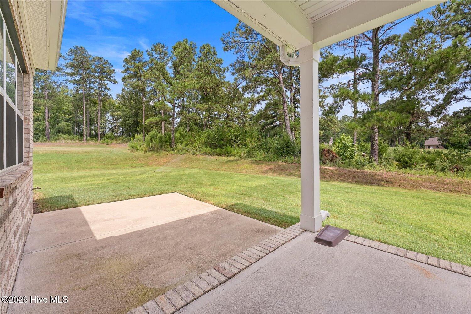 173 Captain Johnson's Drive Property Photo 47