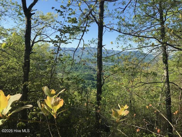 501a 26 Cliff Top Trail Property Photo 7