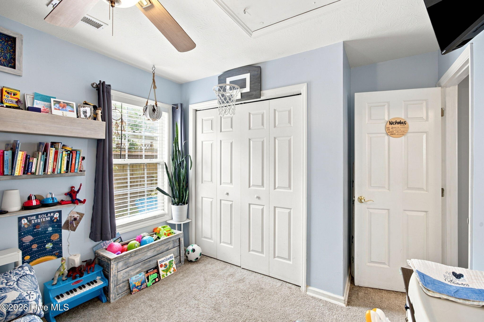 805 Southern Charm Drive Property Photo 18