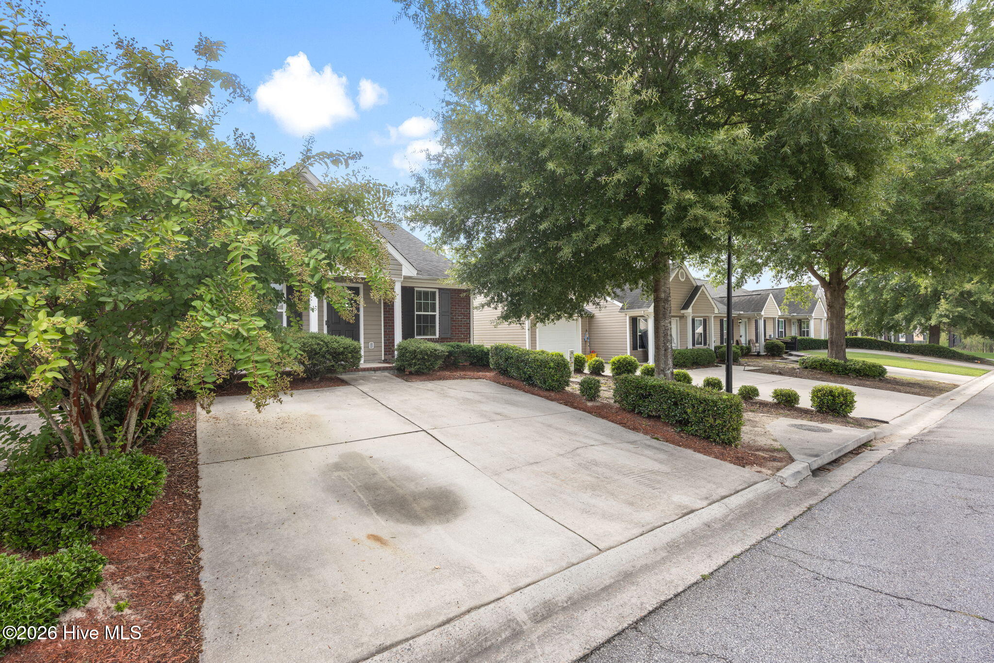 1133 Bison Way Property Photo 2